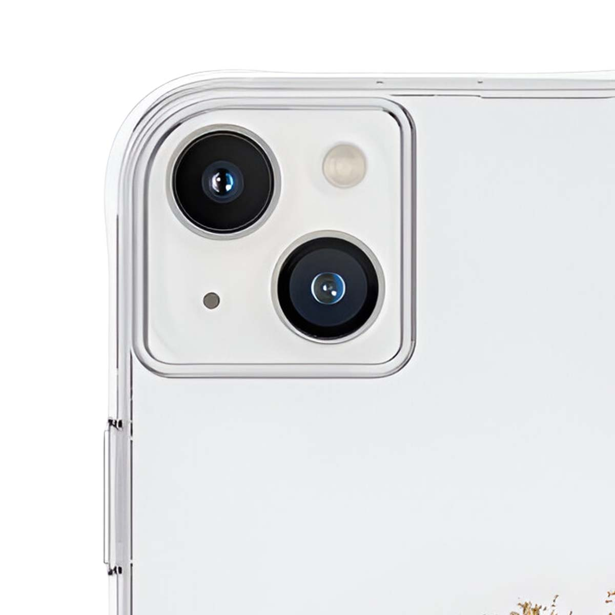 Primo piano del modulo fotocamera di un telefono. Presenta due lenti nere, un flash e un piccolo punto microfono. Lo sfondo è bianco.