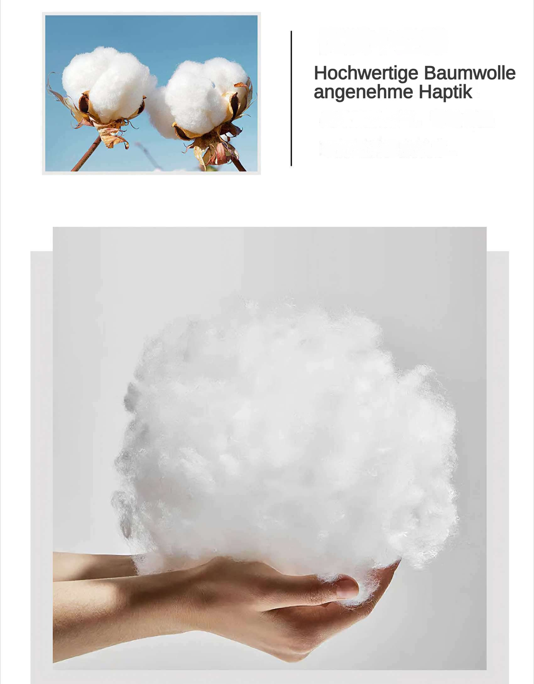 Zwei Baumwollblüten vor blauem Himmel und eine Baumwollwolke in Händen gehalten.