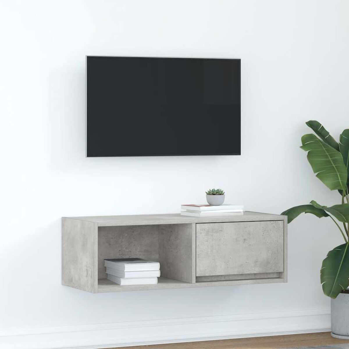 Ein an der Wand befestigter Fernseher über einem grauen Schrank. Bücher und eine Pflanze stehen auf dem Schrank. Rechts steht eine große Topfpflanze.