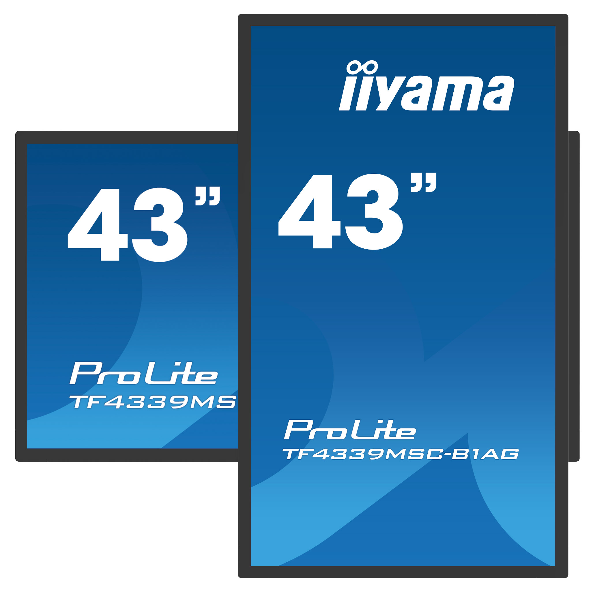 Dos pantallas iiyama ProLite de 43 pulgadas. Una es TF4339MS, la otra TF4339MSC-B1AG. Ambas son azules con texto blanco.