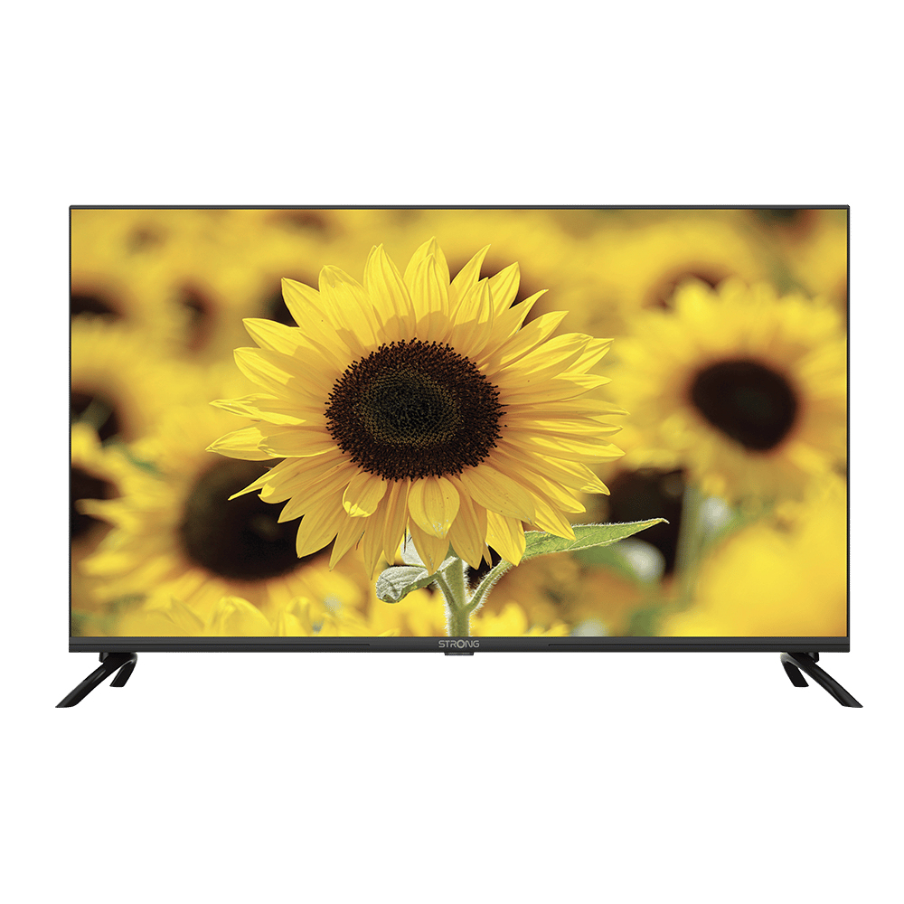 Uno schermo TV mostra un primo piano di un girasole. Lo sfondo mostra un campo di girasoli sfocati.