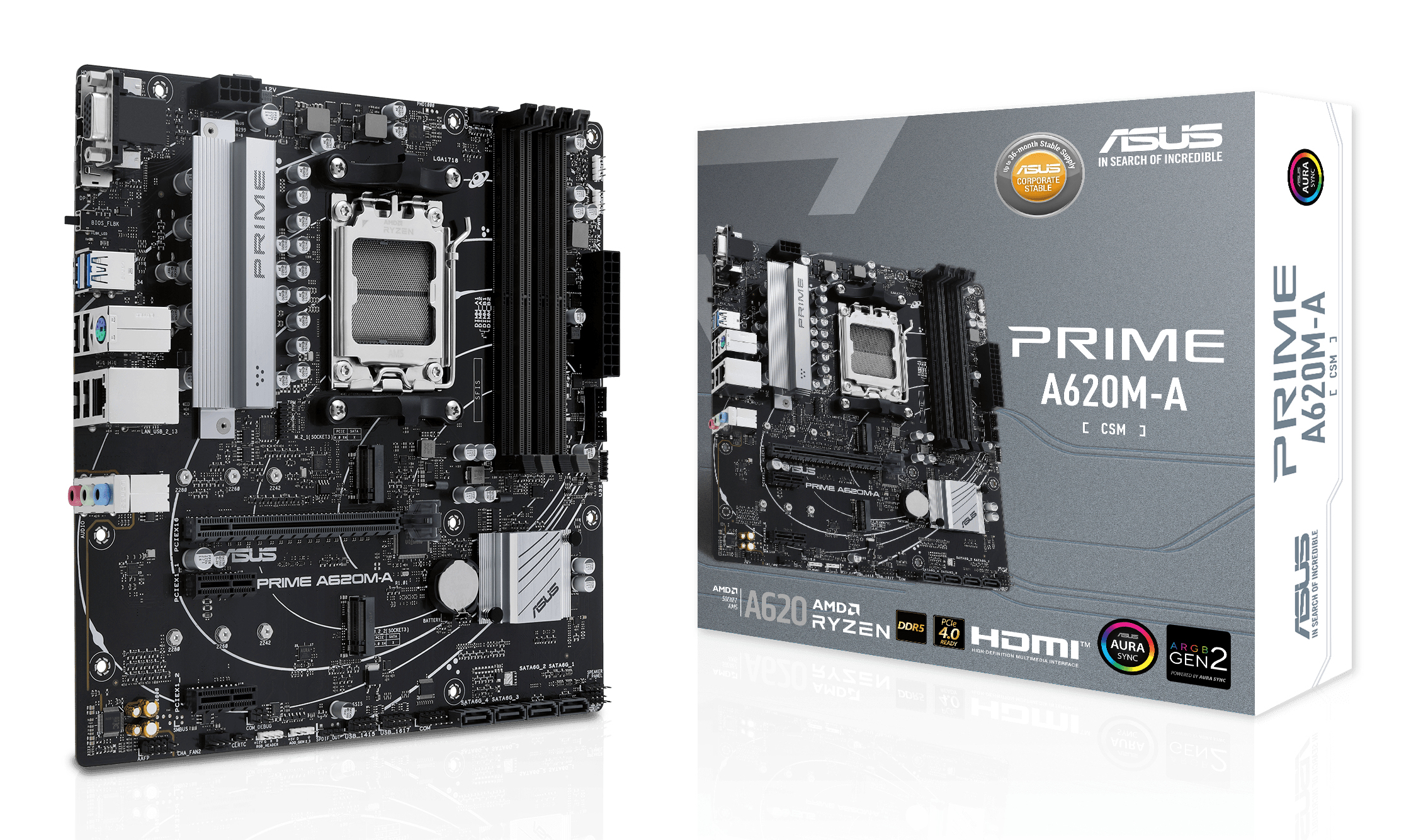 Una scheda madre ASUS Prime A620M-A e la sua scatola su una superficie bianca. La scheda madre è nera con dettagli argentati.
