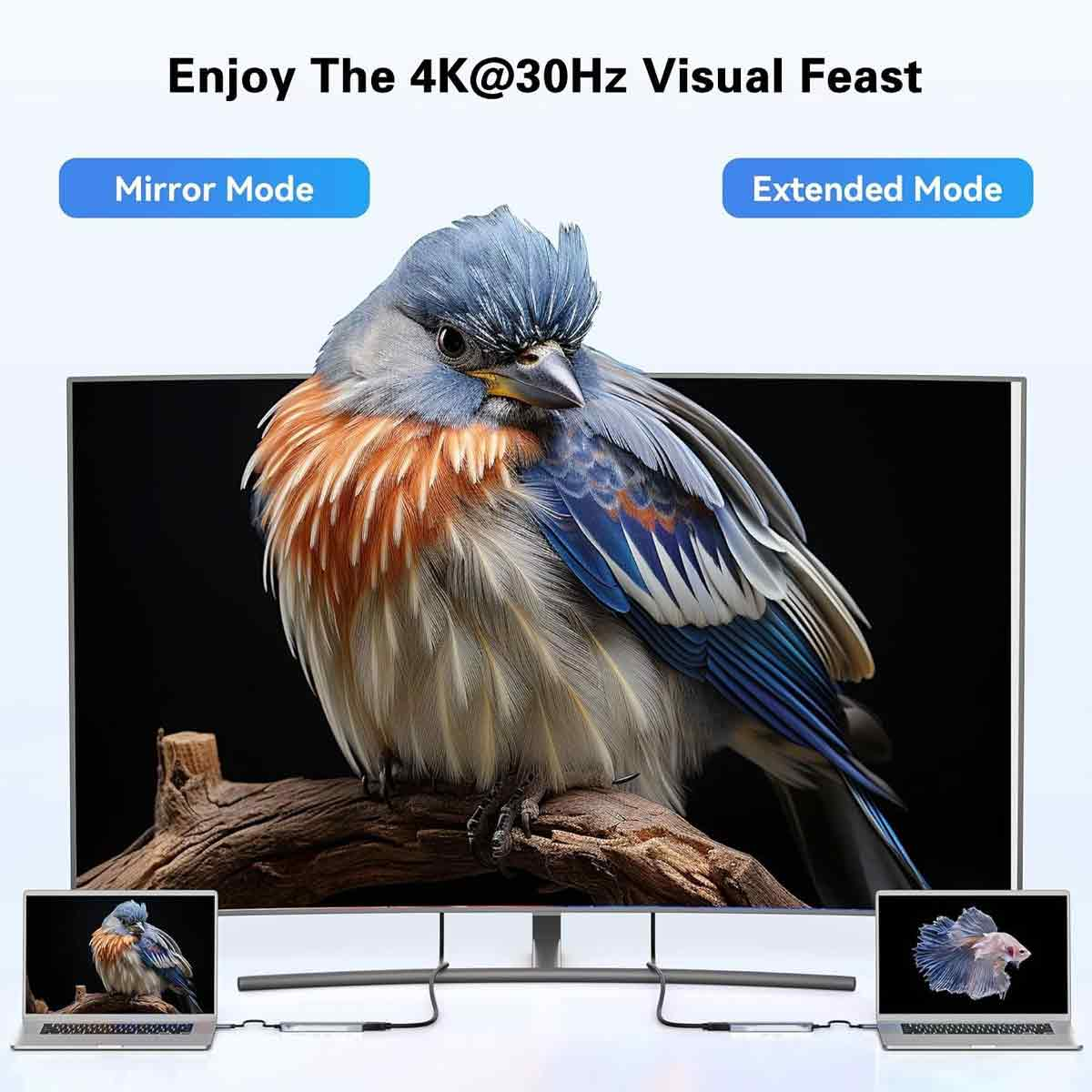Ein großer, gewölbter Monitor zeigt einen bunten Vogel. Zwei Laptops zeigen denselben Vogel und einen Fisch. Der Text lautet 'Genießen Sie das 4K-Sehvergnügen'.