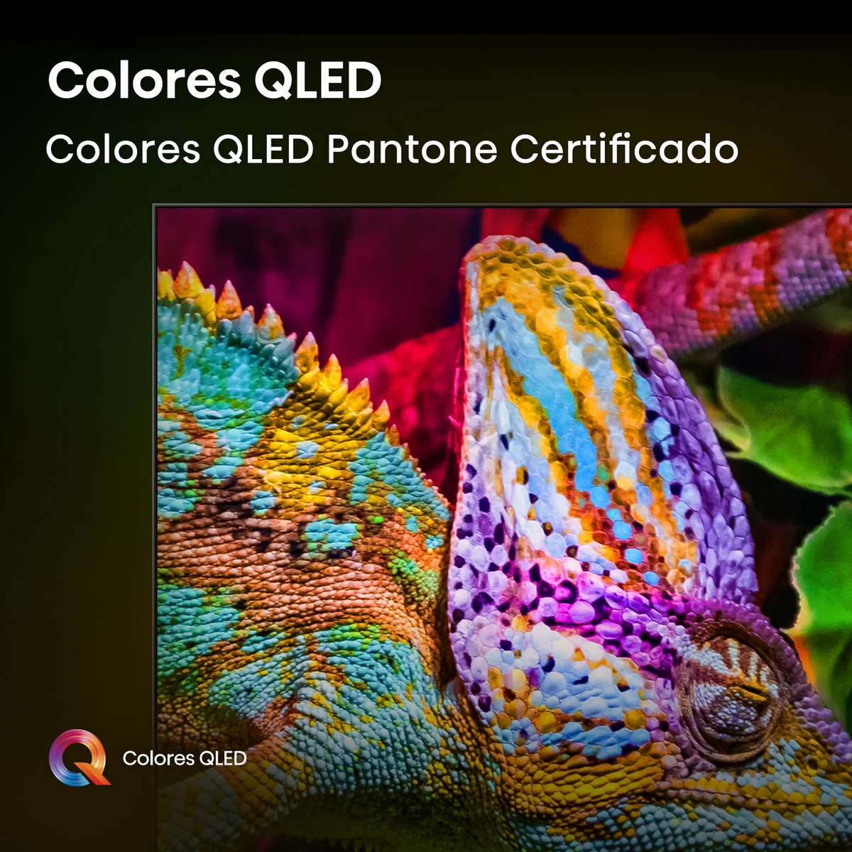 Zbliżenie kameleona w żywych kolorach. Głowa jest niebieska, żółta i fioletowa. Tło to mieszanka czerwieni i zieleni.