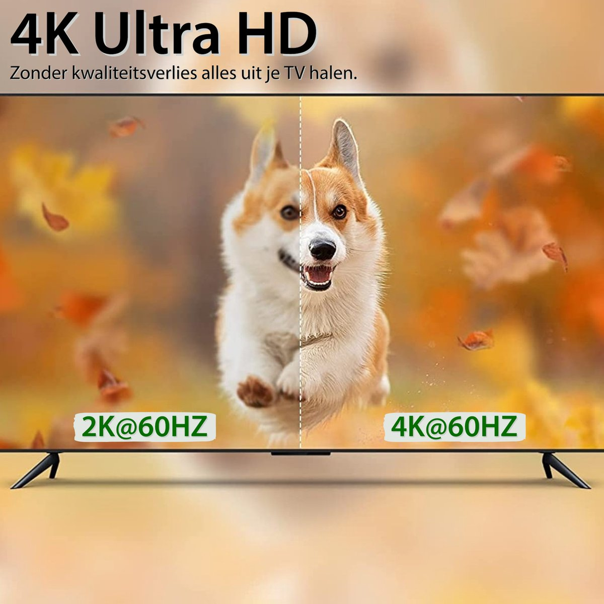 Tv-scherm met een Corgi. De linkerkant toont een wazig beeld, de rechterkant is scherp. Tekst: 4K Ultra HD en 2K@60HZ, 4K@60HZ.