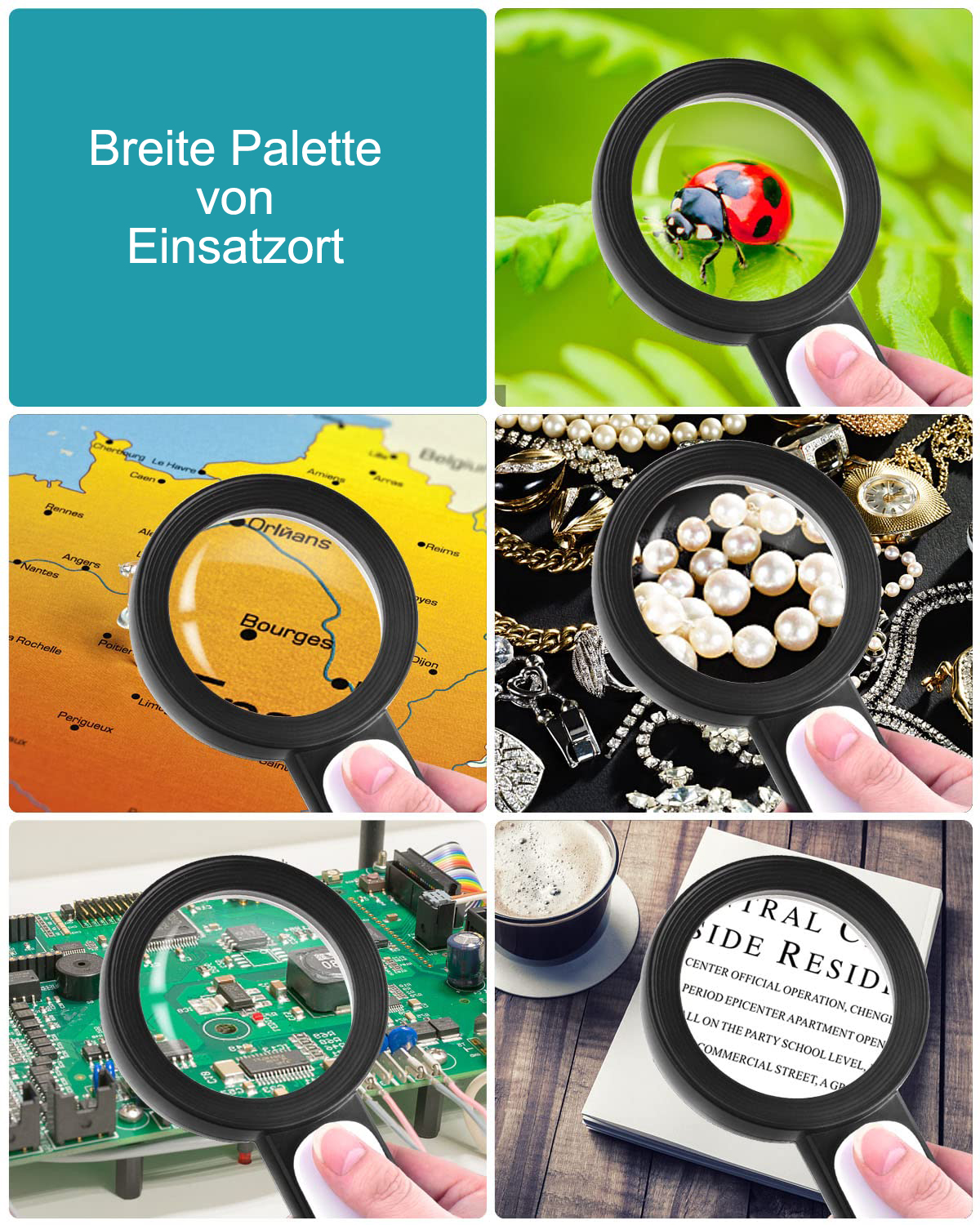 Collage mit Lupen über einem Marienkäfer, einer Karte, Schmuck, einer Leiterplatte und einem Buch.