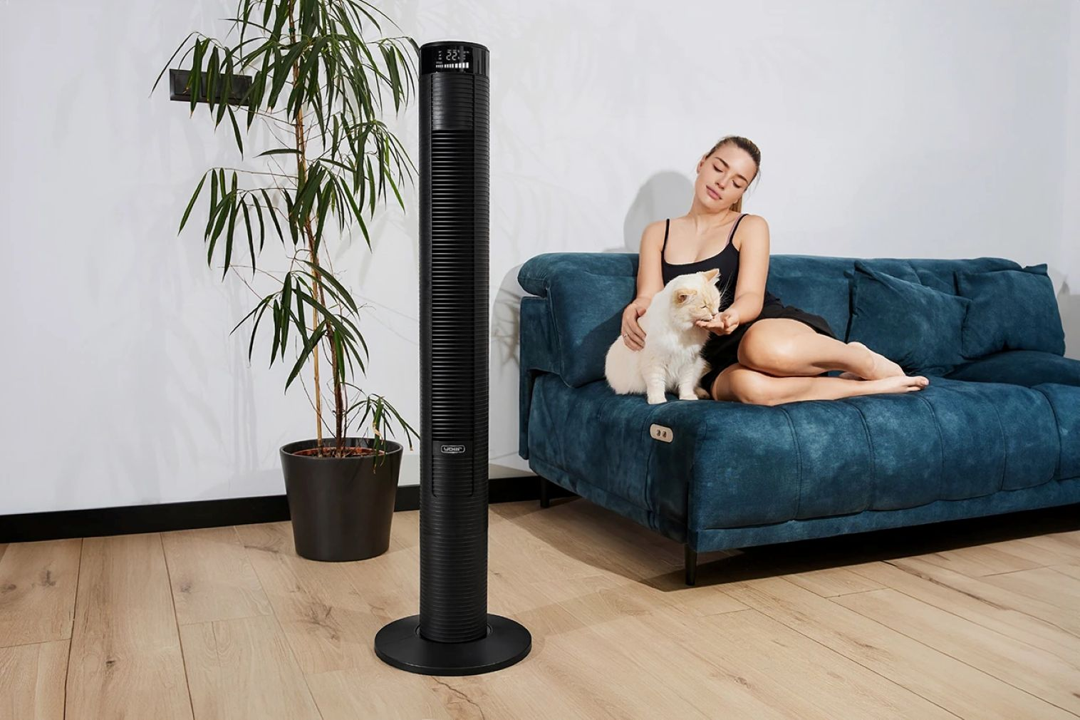 Kobieta na niebieskiej kanapie z kotem, czarnym wentylatorem i rośliną doniczkową. Kobieta karmi kota.