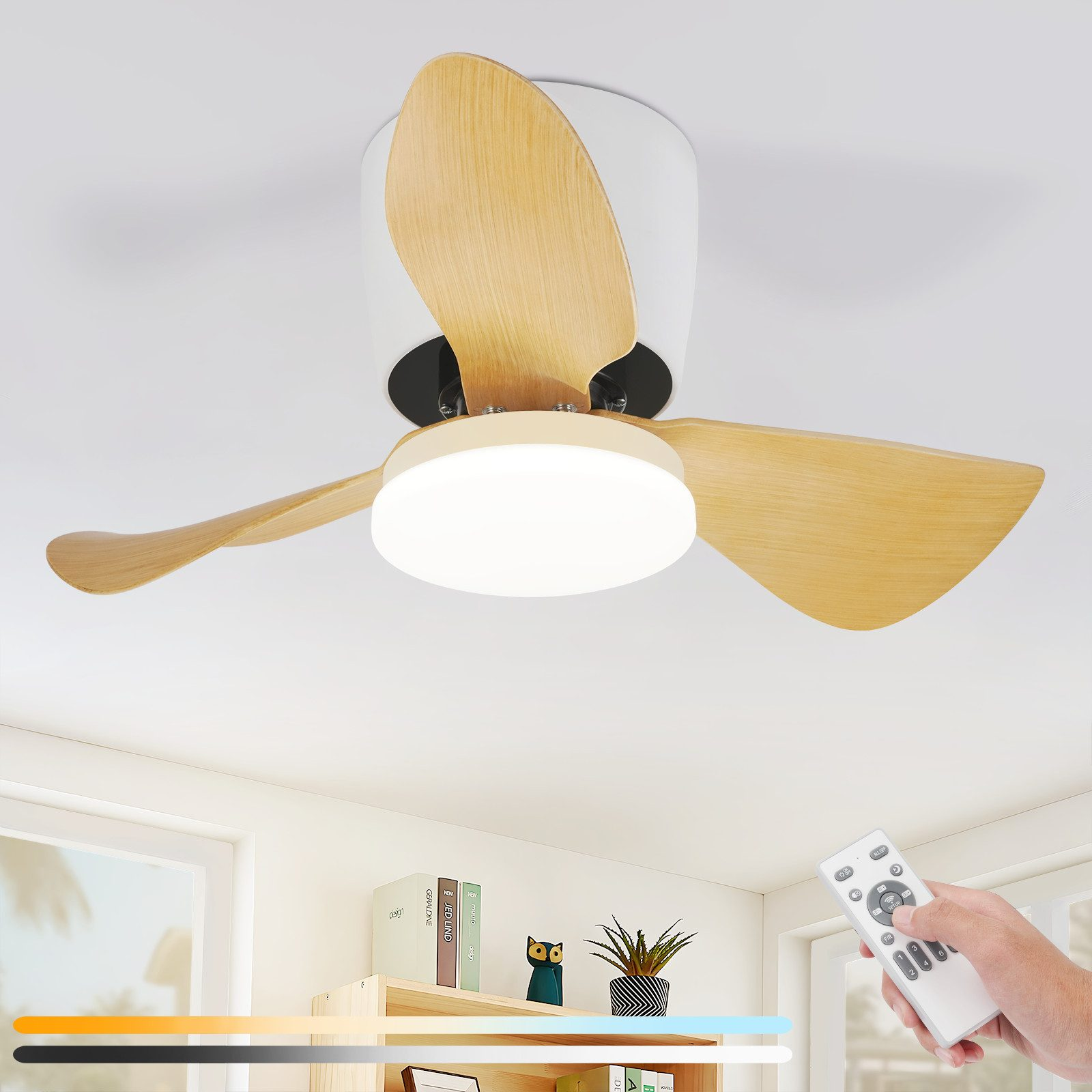 Ventilatore da soffitto con pale in legno, una luce e un telecomando. Una mano tiene il telecomando. Libri e pianta visibili.