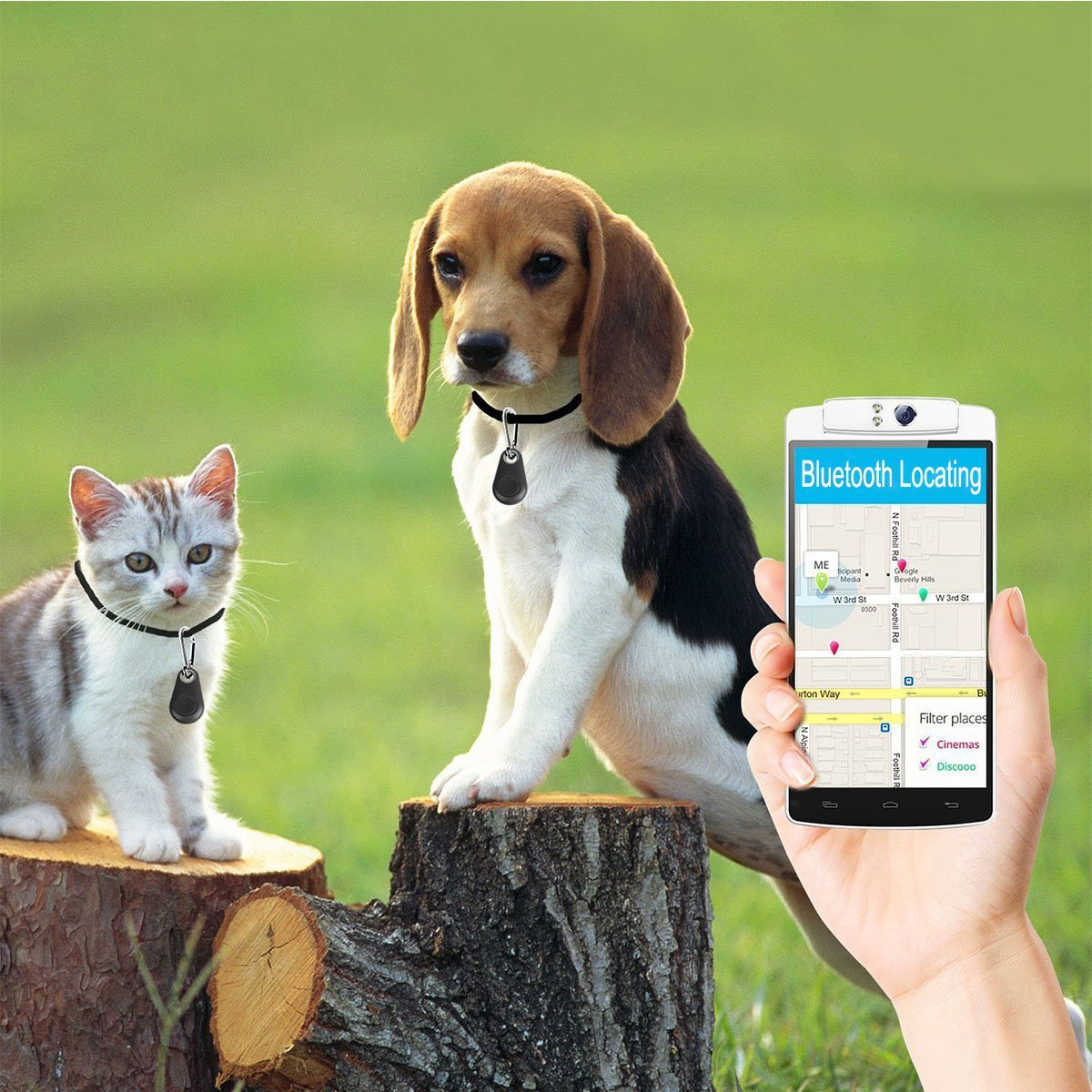Katze und Hund auf Baumstümpfen. Beide tragen Halsbänder mit Trackern. Ein Telefon zeigt eine Karte mit Standort.