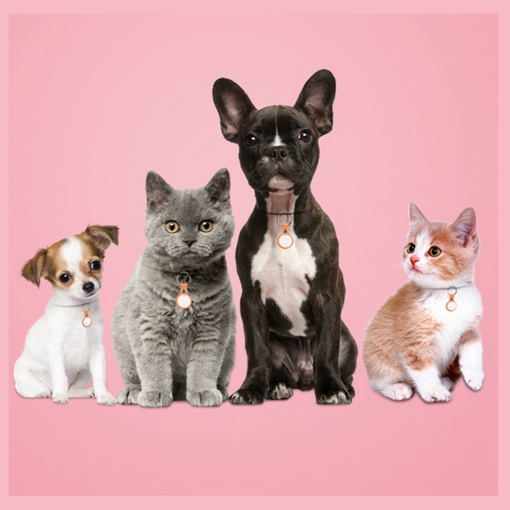 Eine Gruppe von vier Haustieren: ein kleiner Hund, eine graue Katze, ein schwarz-weißer Hund und ein Kätzchen, alle mit passenden Anhängern.