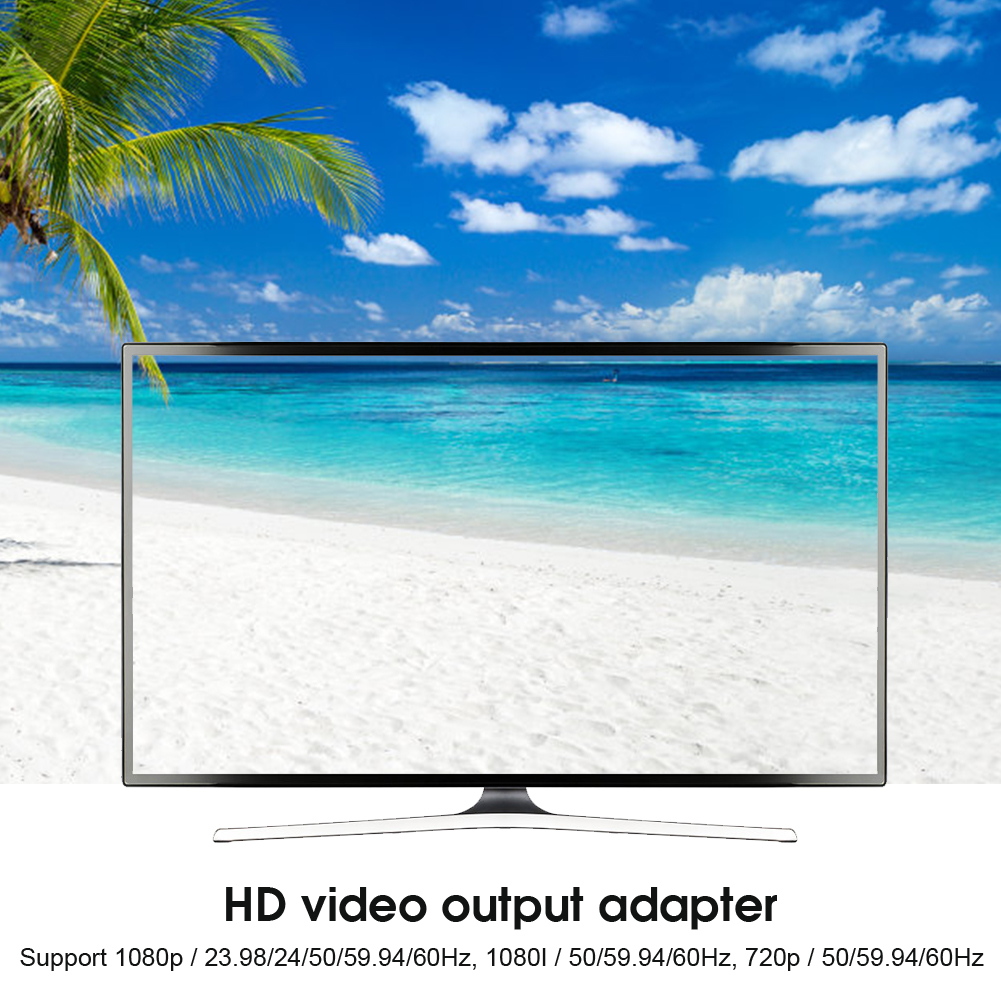 Ein Fernseher zeigt eine Strandszene mit weißem Sand, türkisfarbenem Wasser und blauem Himmel mit Wolken. Palmenblätter sind links.