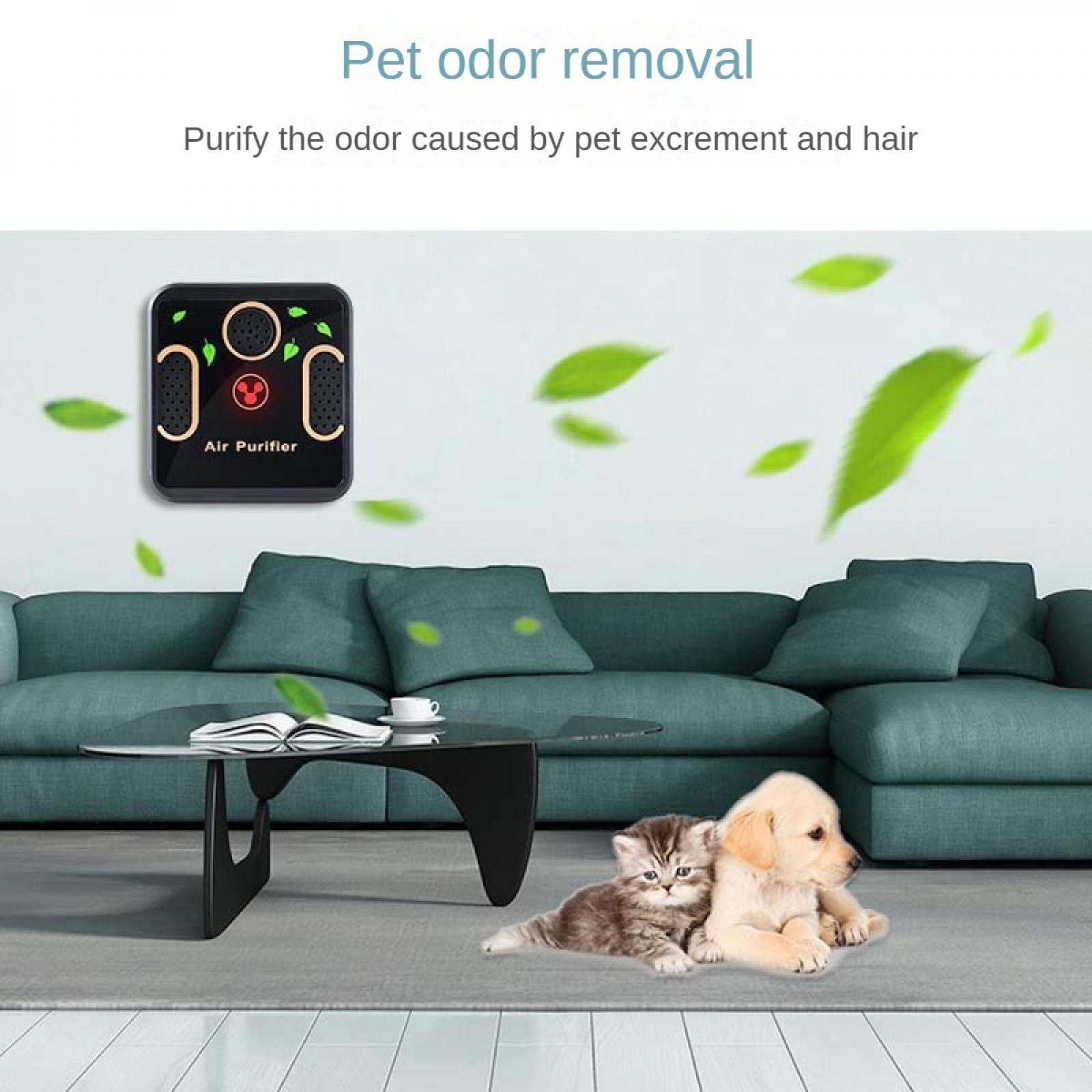 Ein Raum mit Katze und Welpe. Ein schwarzer Luftreiniger an der Wand. Grüne Couch, Tisch und Blätter sind sichtbar.