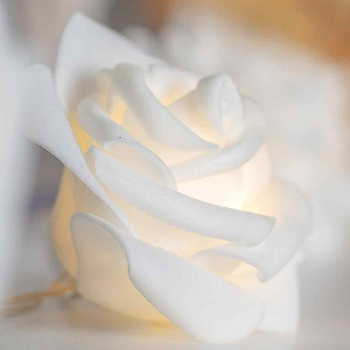 Nahaufnahme einer weißen Rose mit beleuchteten Blütenblättern. Die Blütenblätter sind weich und geschichtet, mit einem warmen Schein.