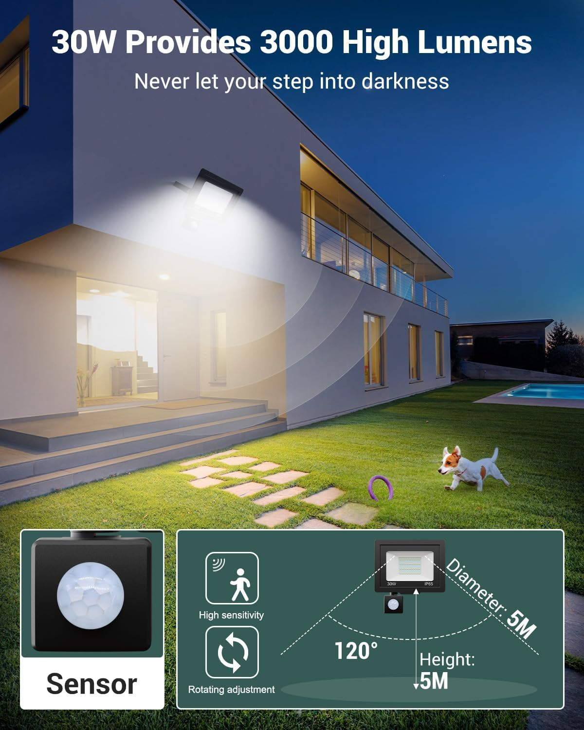 Ein Haus wird von einer Lampe beleuchtet. Ein Hund rennt auf dem Rasen. Ein Diagramm zeigt einen Sensor, seine Eigenschaften und Spezifikationen.