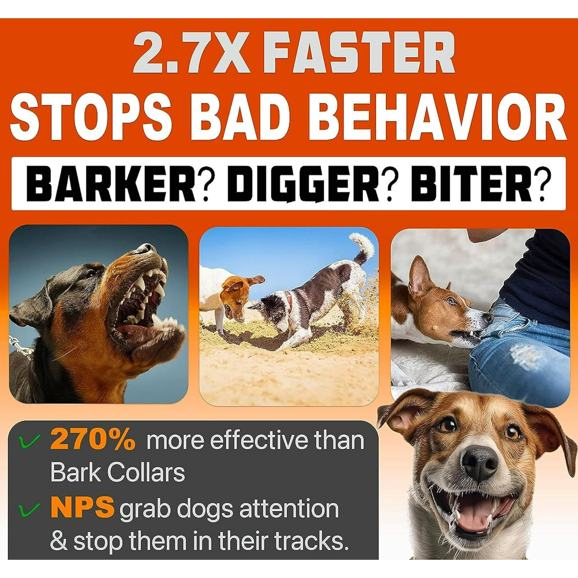 Eine Werbung mit Text zur Beendigung schlechten Hundeverhaltens. Enthält Bilder von Hunden und Wirksamkeitsansprüche.
