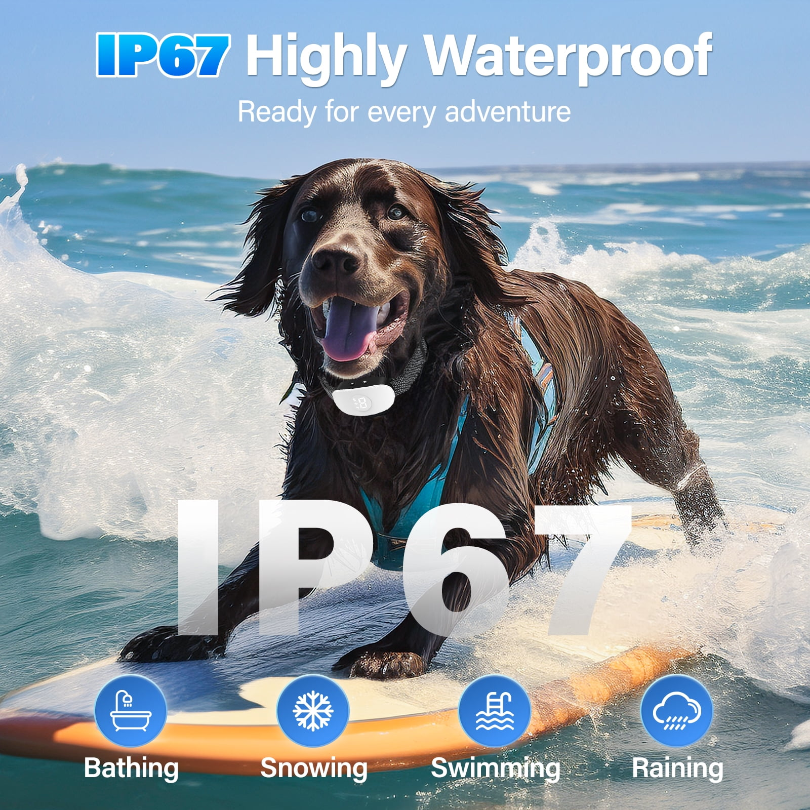 Ein brauner Hund auf einem Surfbrett im Meer. Das Bild hat Text, der IP67 Highly Waterproof sagt.