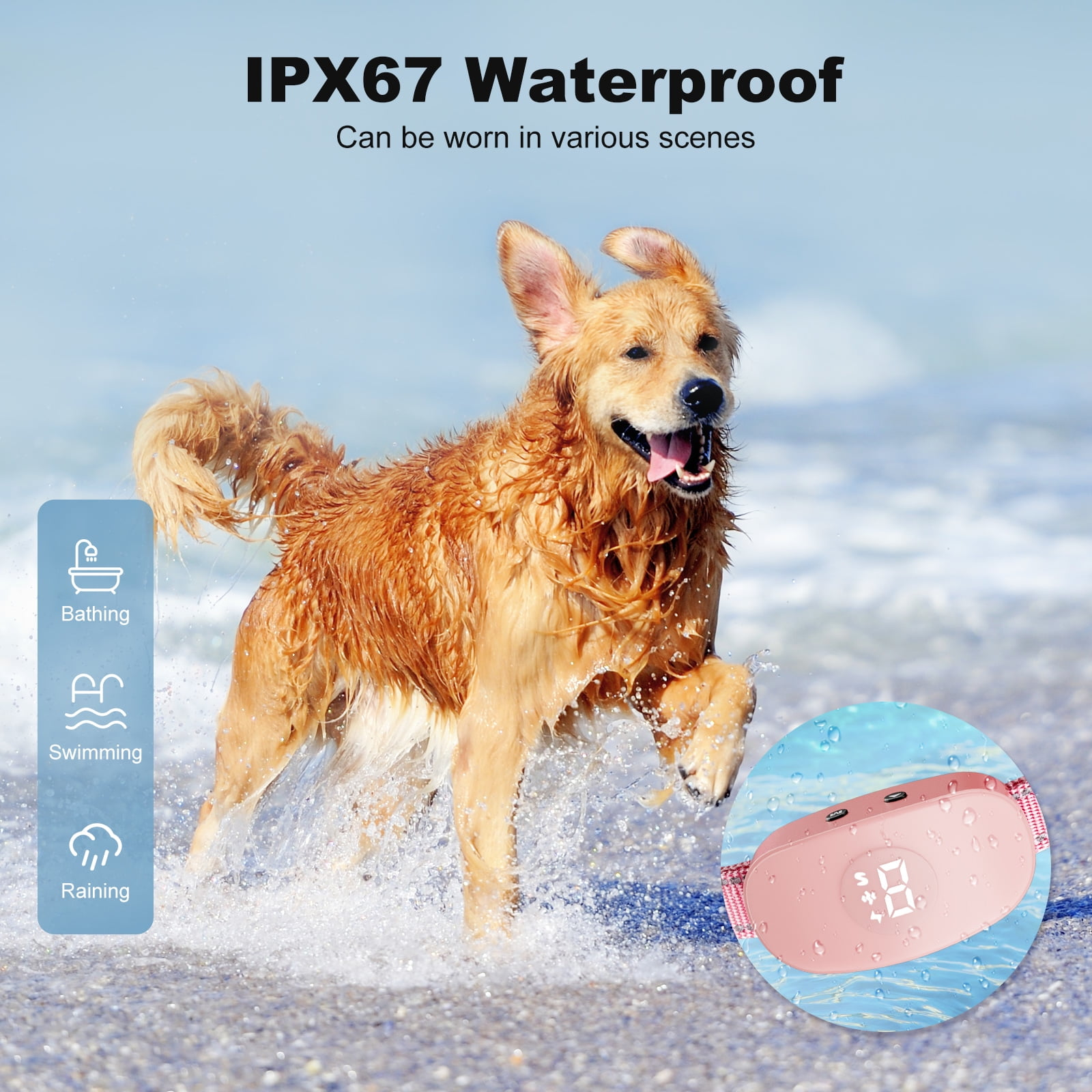 Ein Golden Retriever rennt durch Wasser. Ein pinkes Halsband mit Bildschirm ist in der Ecke. Text lautet IPX67 Waterproof.