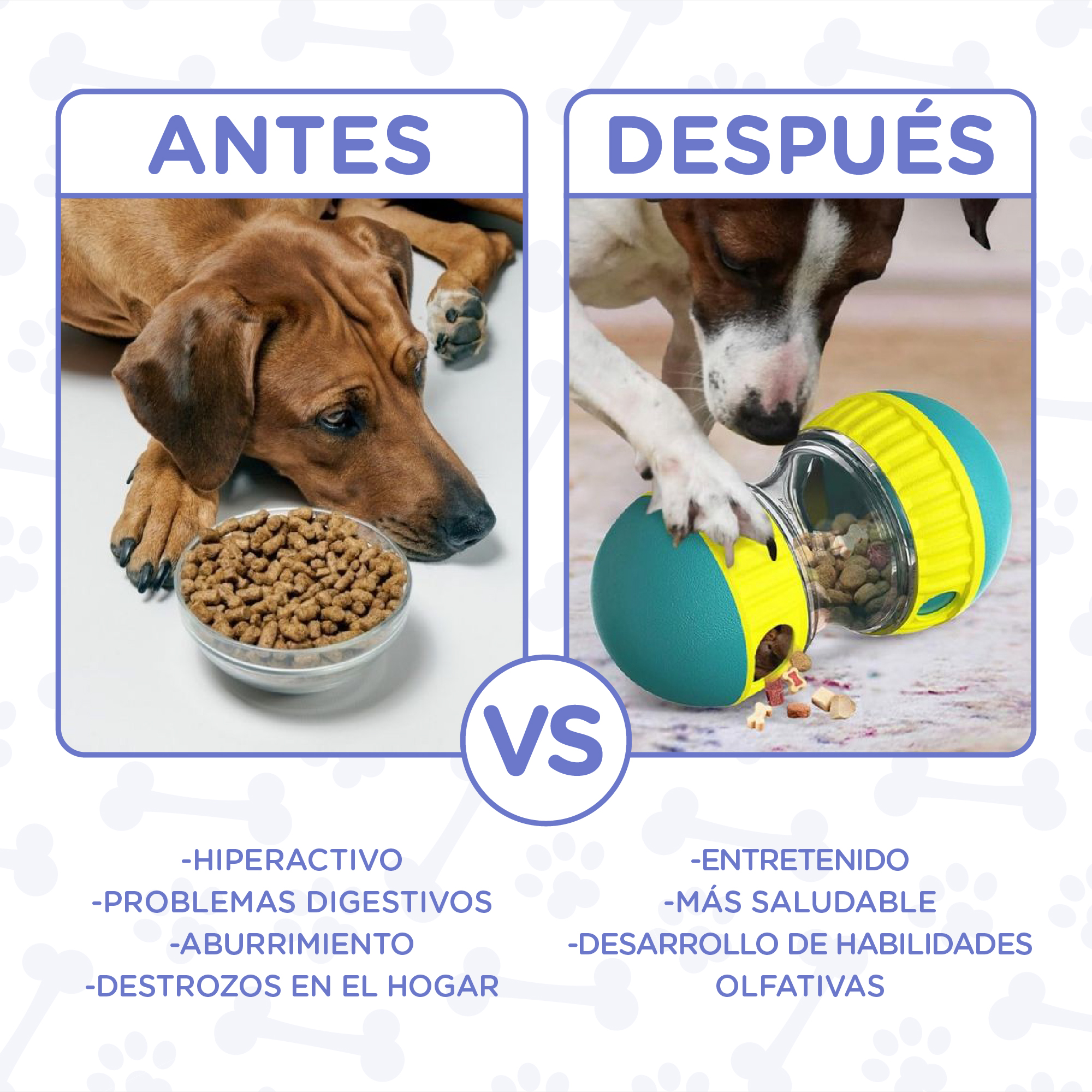La imagen muestra un perro con un cuenco de comida, texto 'ANTES' y otro perro con un juguete, texto 'DESPUÉS'. Muestra una comparación del antes y el después.