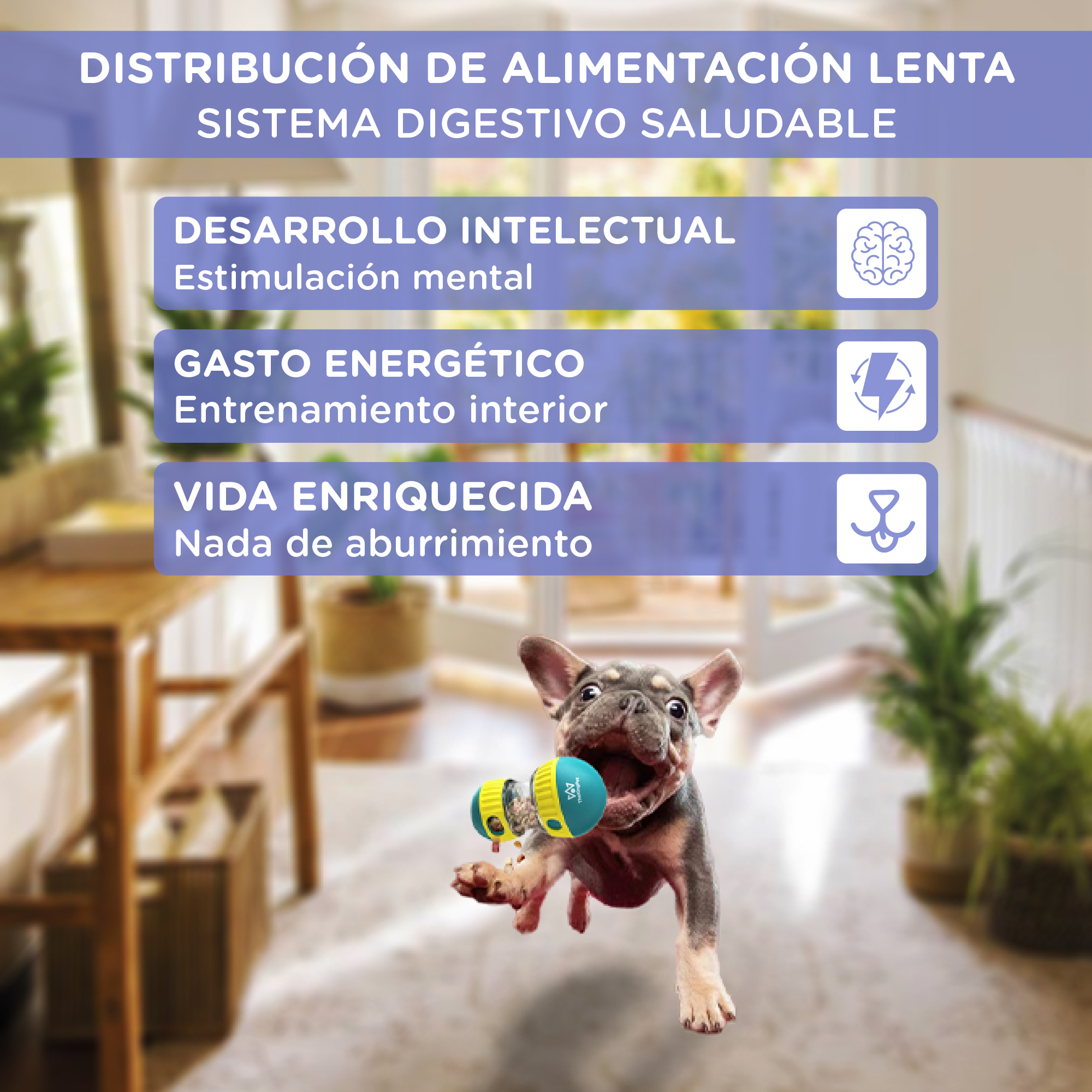 Un bulldog francés salta, sosteniendo un juguete azul y amarillo. El texto promueve la alimentación lenta, el desarrollo intelectual, el gasto energético y una vida enriquecida.
