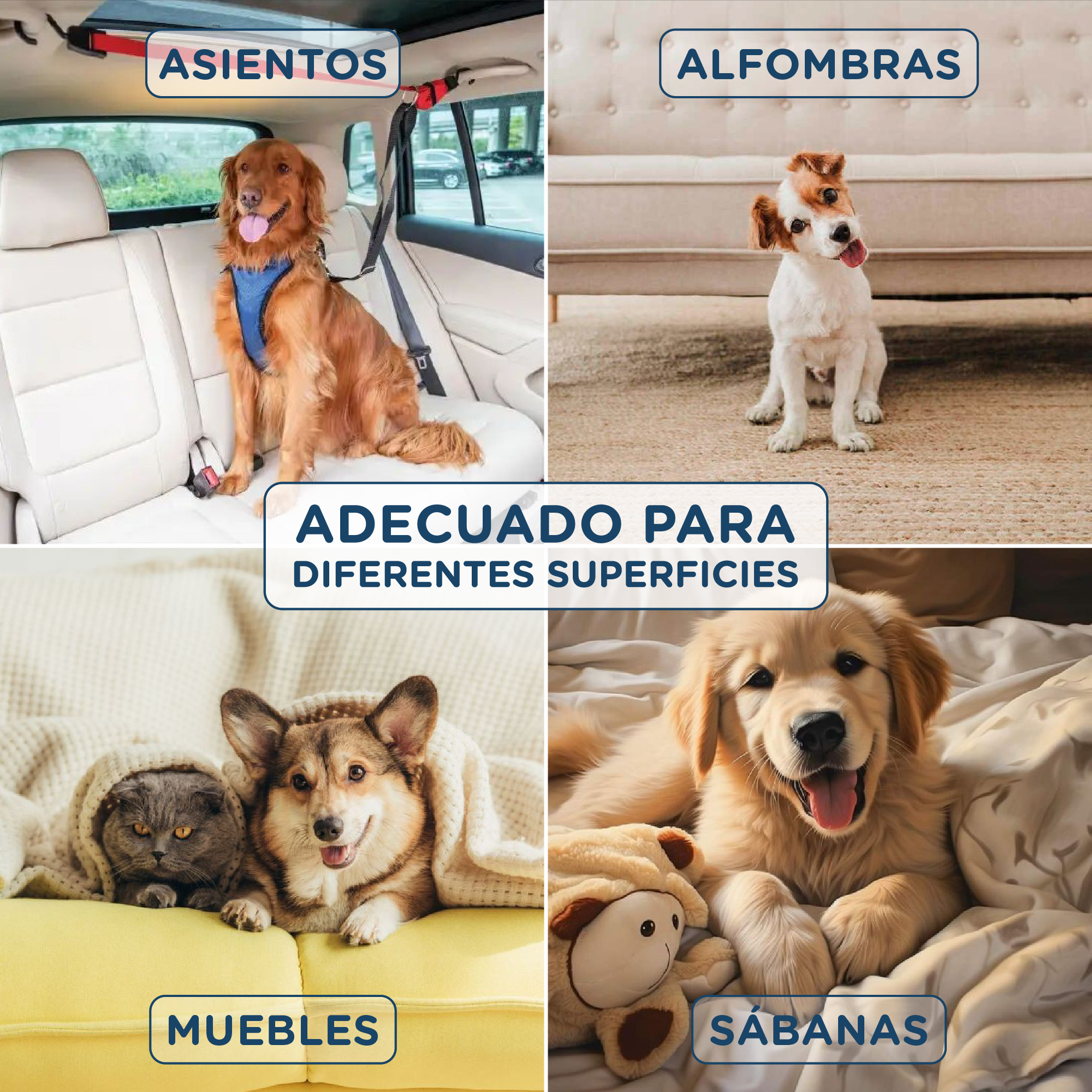 Imagen muestra perros en asientos, alfombras, muebles y cama con el texto: Adecuado para diferentes superficies.