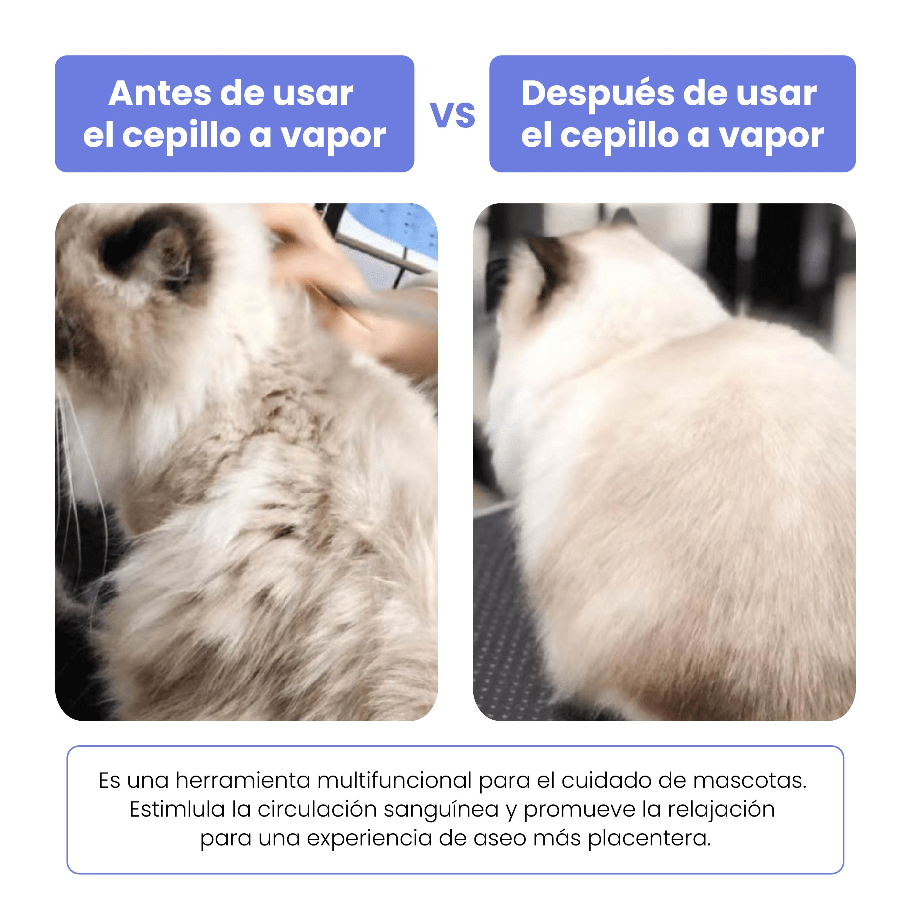 La imagen muestra un gato antes y después de usar un cepillo de vapor. El lado izquierdo muestra pelaje desordenado y el lado derecho pelaje arreglado.