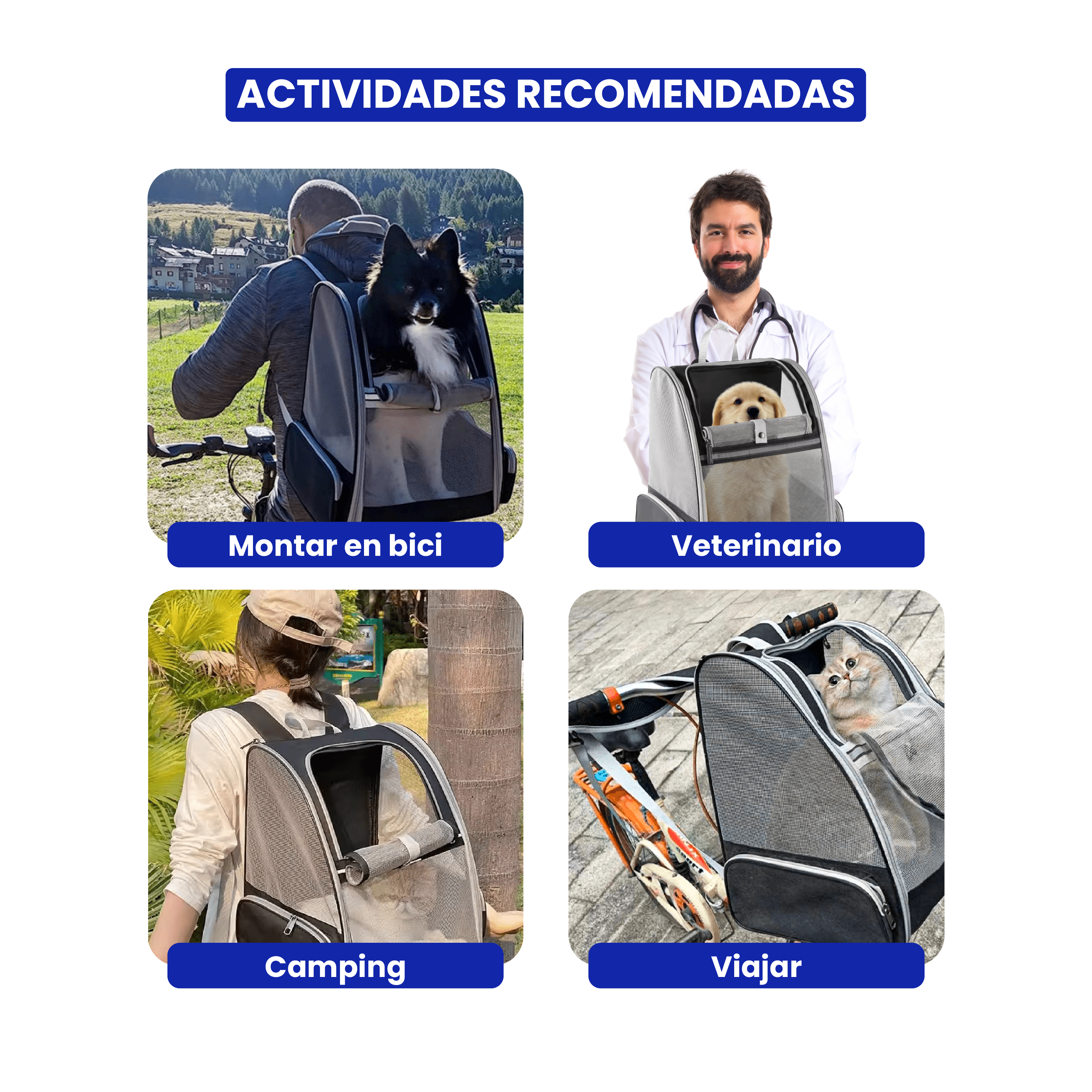 Cuatro imágenes que muestran actividades con mascotas: andar en bicicleta con un perro, un veterinario con un perro, acampar con una mascota y viajar con un gato.