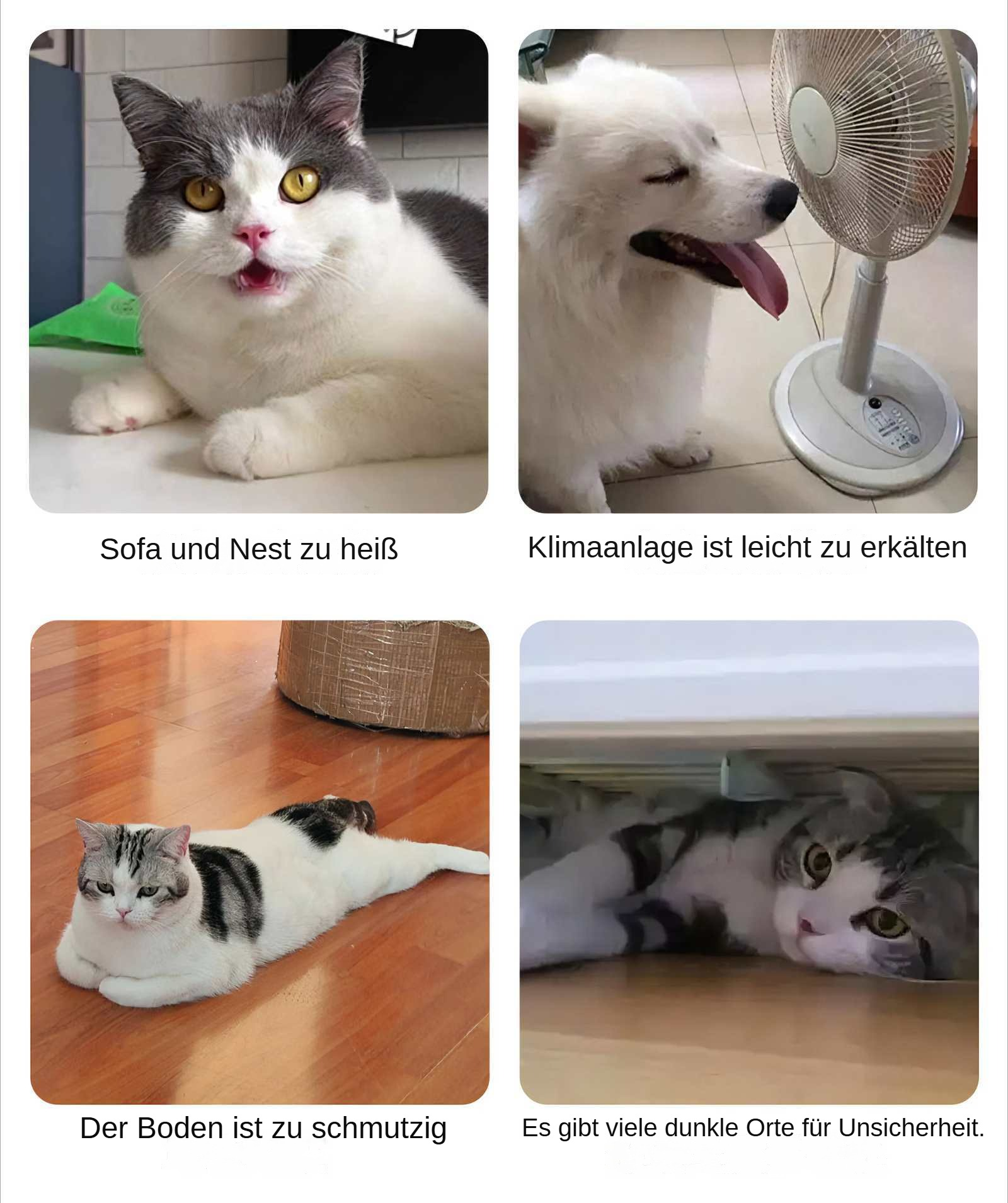 Katze mit offenem Mund. Grau-weißes Fell. Gelbe Augen. Grünes Objekt im Hintergrund.