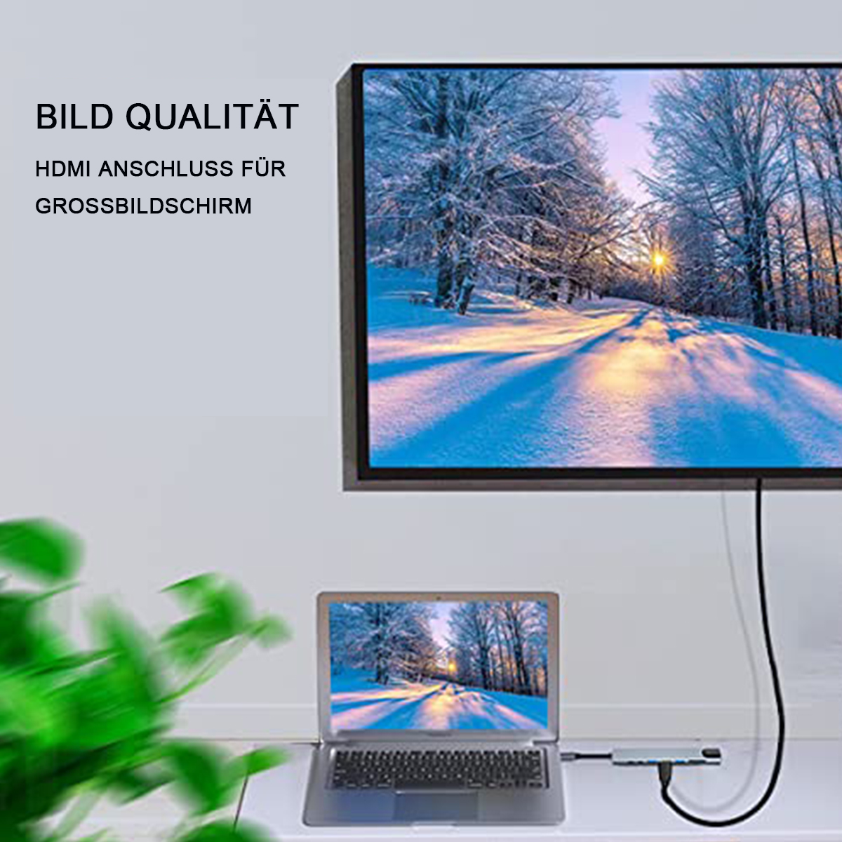 Laptop, der mit einem Fernseher verbunden ist, der eine verschneite Waldszene zeigt. Grüne Pflanze im Vordergrund.