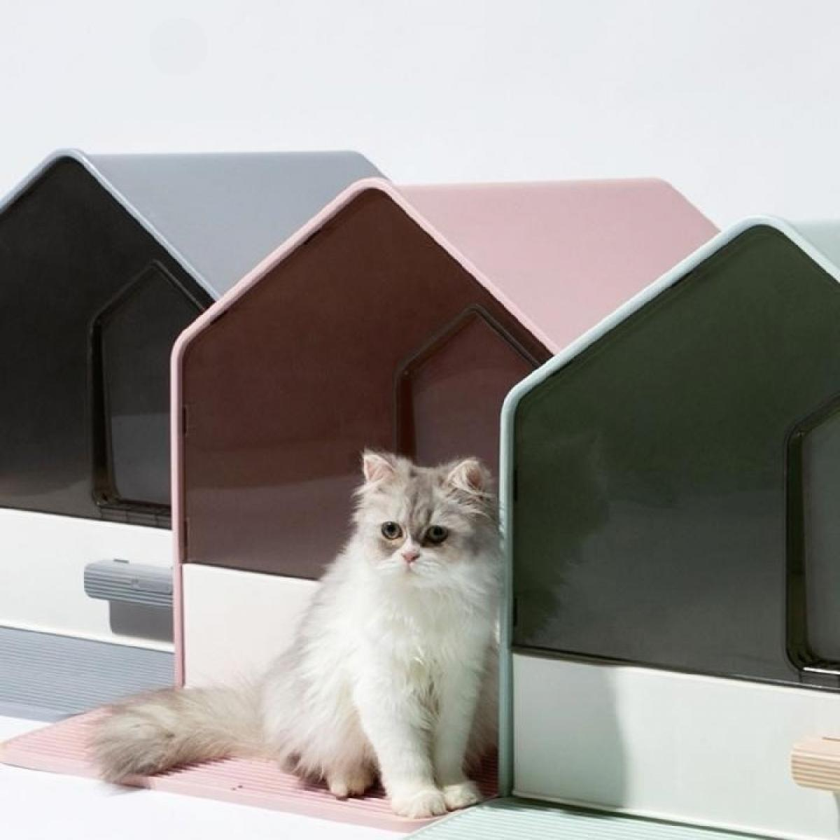 Eine flauschige weiße Katze sitzt vor bunten Katzenhäusern. Die Häuser sind grau, braun, rosa und grün. Der Hintergrund ist weiß.