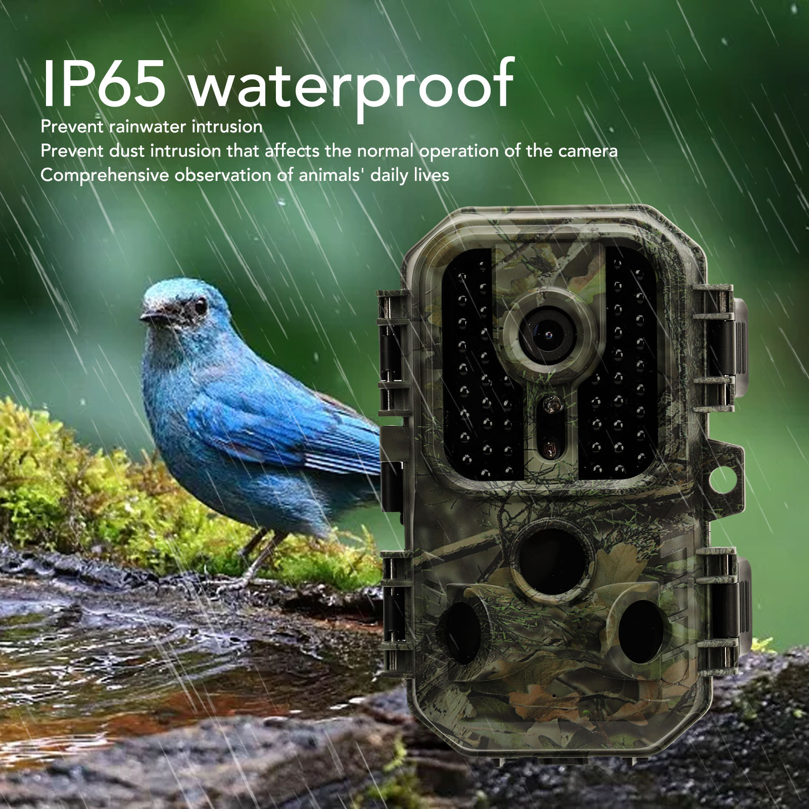 Ein blauer Vogel in der Nähe einer wasserdichten Kamera. Regen fällt. Der Text lautet IP65 wasserdicht und erwähnt Tierbeobachtung.