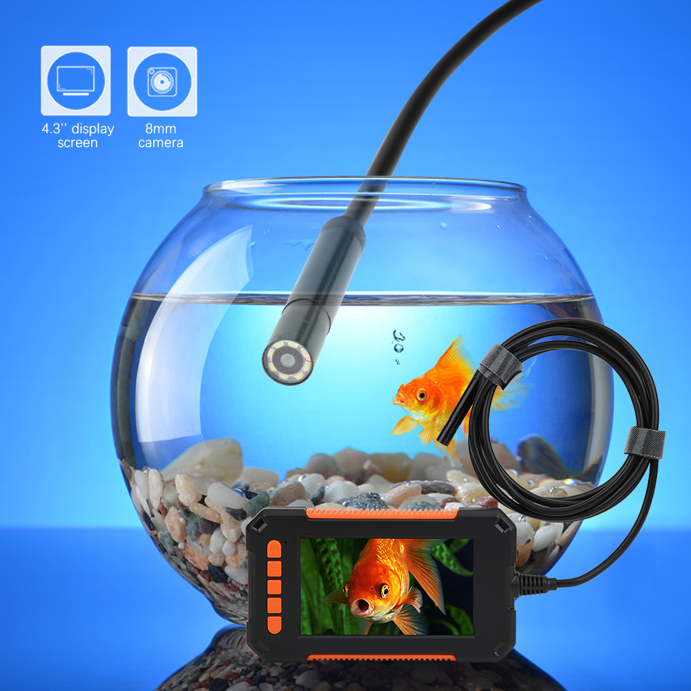 Ein Endoskop in einem Fischglas mit einem Goldfisch. Der Monitor zeigt einen Goldfisch. Der Hintergrund ist blau.
