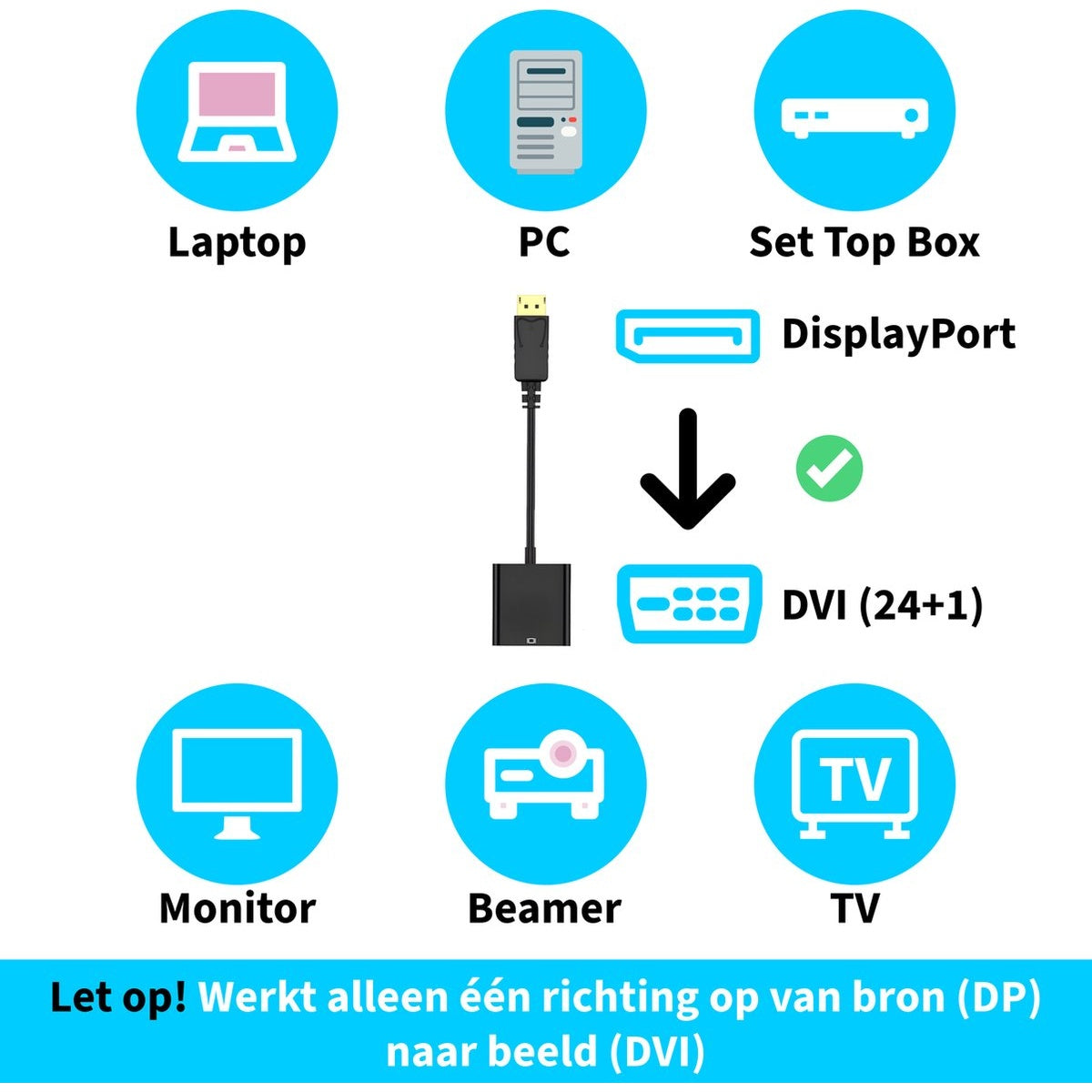 Diagram showing DisplayPort to DVI connection. Includes laptop, PC, set-top box, monitor, beamer, and TV icons. Text: Works only one way.