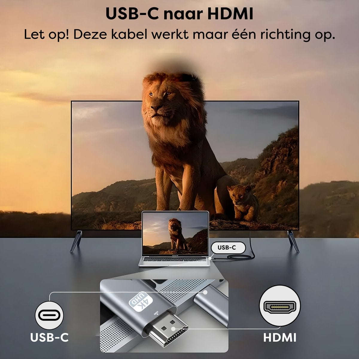 Image shows a lion on a TV screen. A laptop displays the same image. USB-C to HDMI cable is displayed with labels.