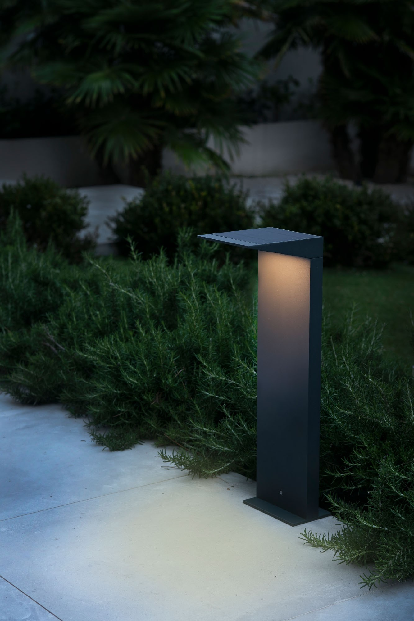 Una moderna lampada da esterno illumina un giardino. Cespugli e alberi verdi sullo sfondo. Il terreno è pavimentato.
