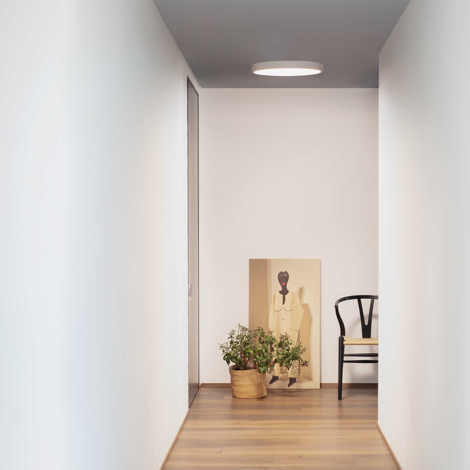 Corridoio con pavimento in legno, pianta in un cesto, arte e una sedia. Una plafoniera illumina lo spazio.