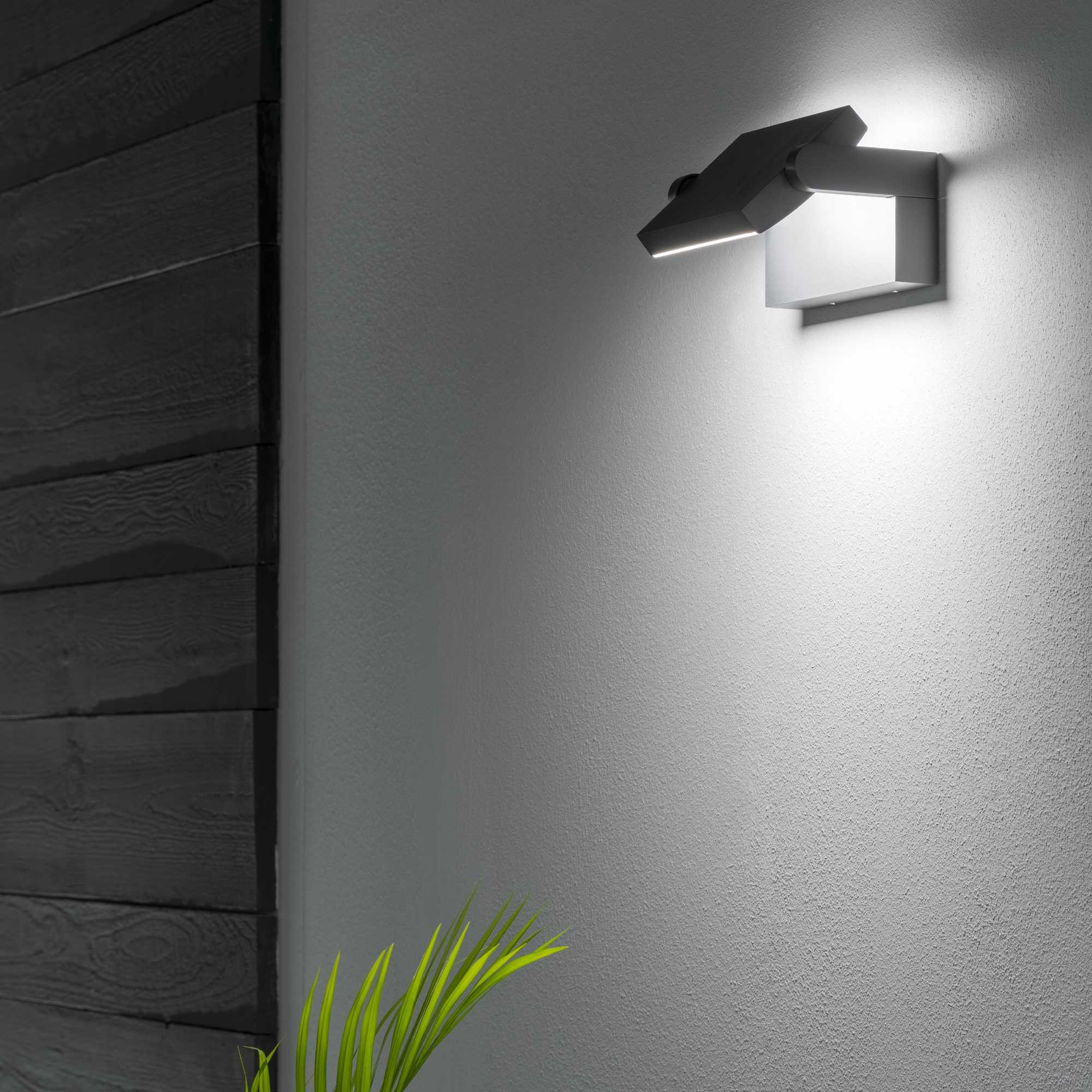 Una moderna lampada da parete illumina un muro grigio strutturato. Pannello in legno scuro a sinistra. Pianta verde in basso.