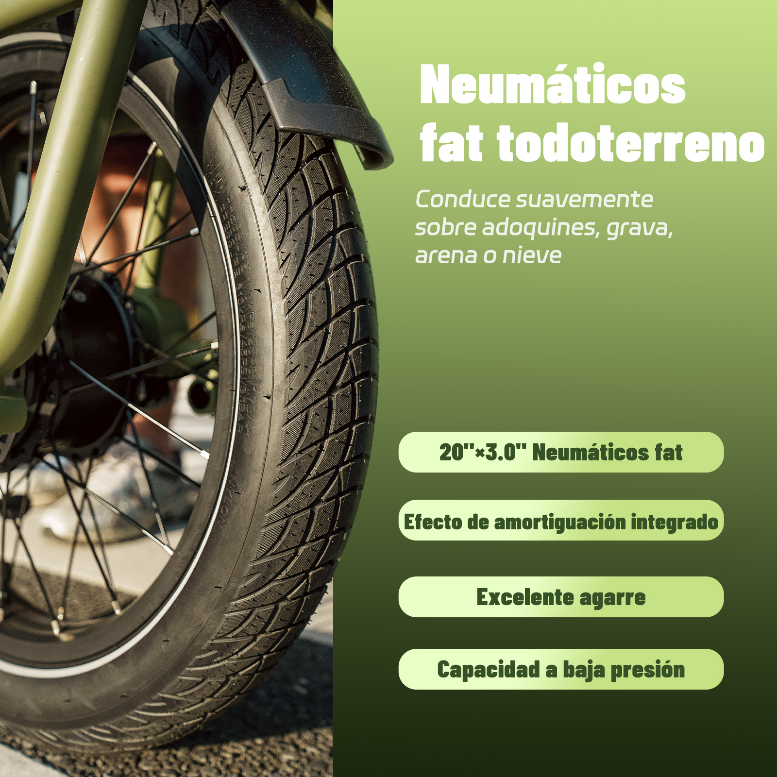 Primer plano de un neumático negro con el texto 'Neumáticos fat todoterreno' en español. El neumático está en una bicicleta verde.