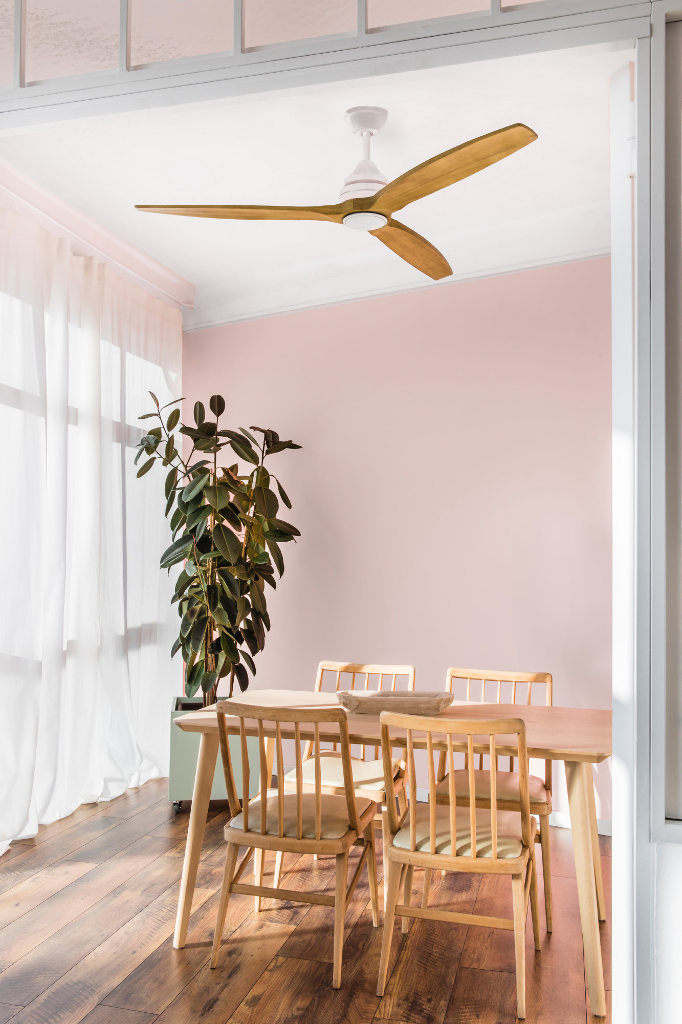 Esszimmer mit Tisch, Stühlen, Pflanze, Deckenventilator und Vorhängen. Rosa Wand und Holzboden.