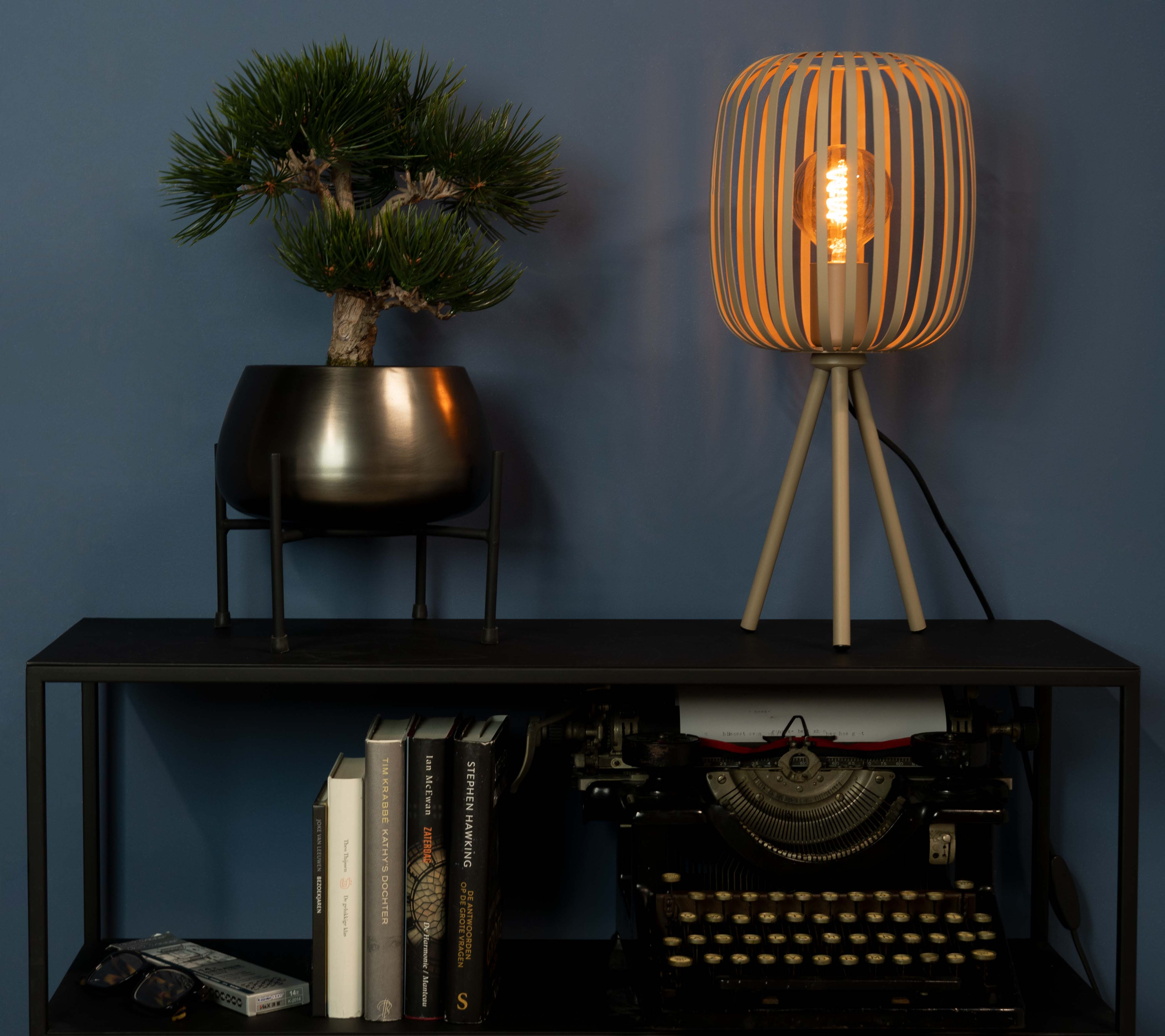 Een plank met een lamp, plant, boeken en een typemachine. De achtergrond is een blauwe muur.