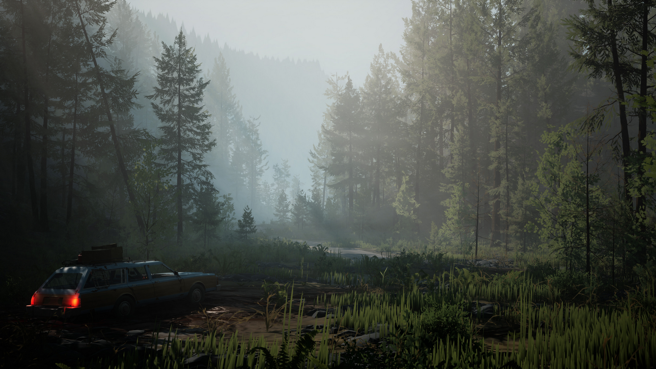 Samochód zaparkowany na błotnistej drodze w lesie, otoczony wysokimi drzewami i gęstą mgłą, ze światłem przebijającym.