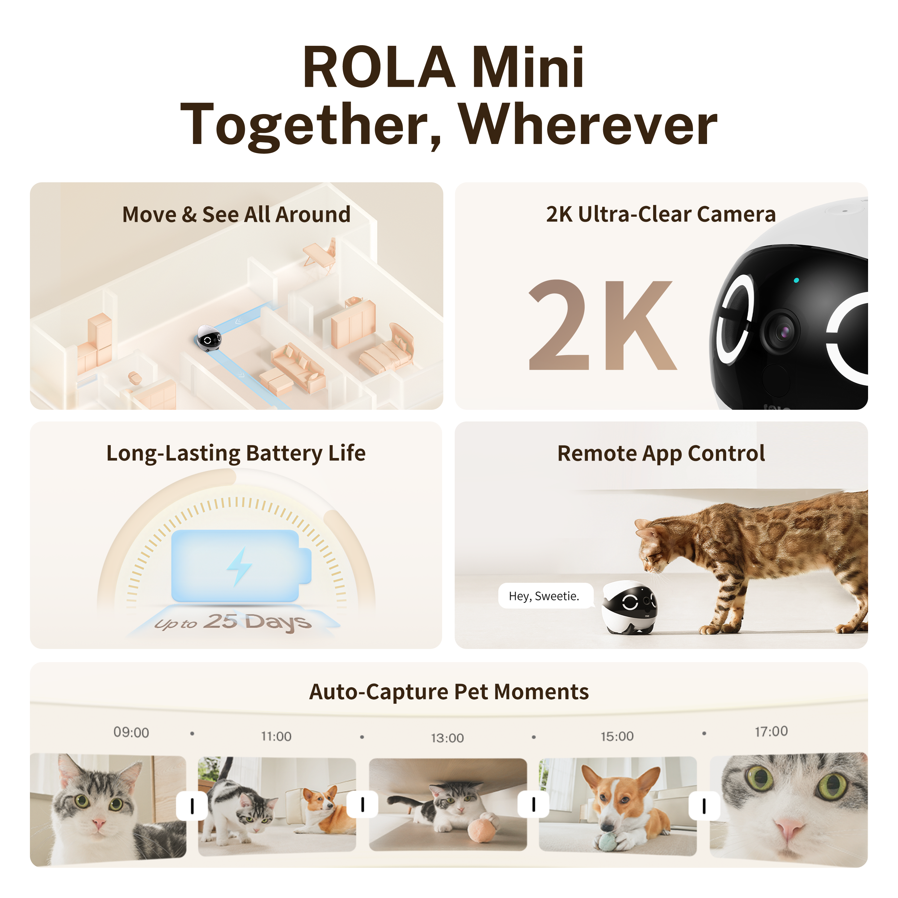 Immagine promozionale. Fotocamera ROLA Mini con funzioni come fotocamera 2K, cattura di momenti per animali domestici e batteria a lunga durata.
