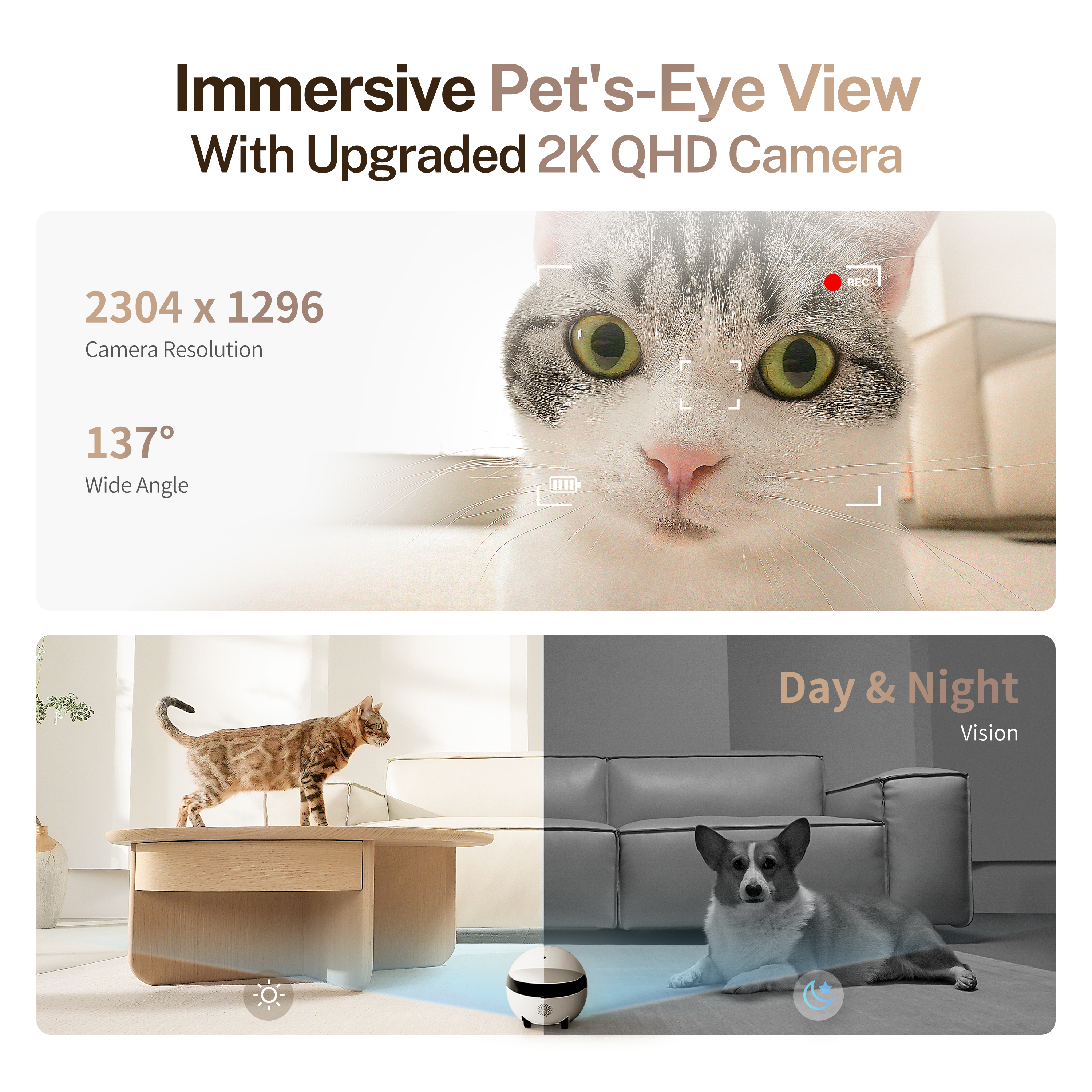 L'immagine mostra un gatto e un cane, promuovendo una fotocamera con visione diurna e notturna.