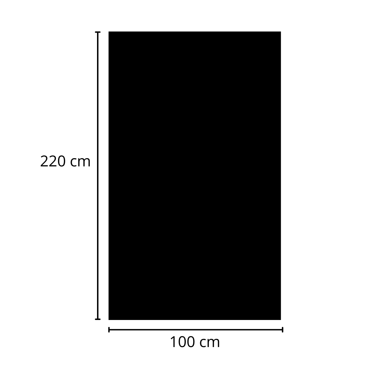 A black rectangle, labeled with measurements. Height is 220 cm, width is 100 cm. The shape looks like a large black board.