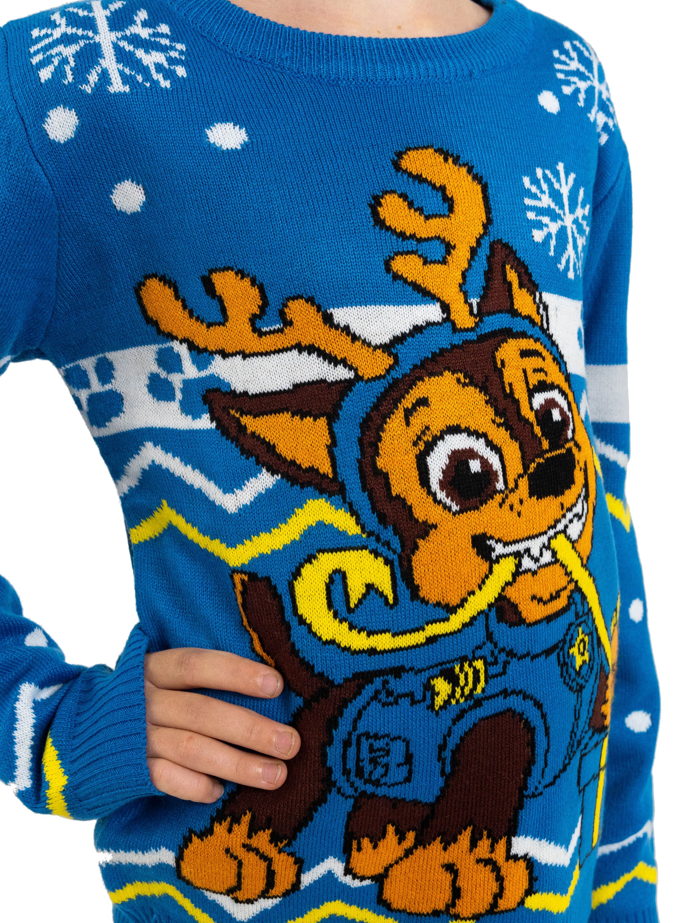 Ein blauer Pullover mit einem Cartoon-Hundeface und Schneeflocken. Ein Kinderarm ist sichtbar.
