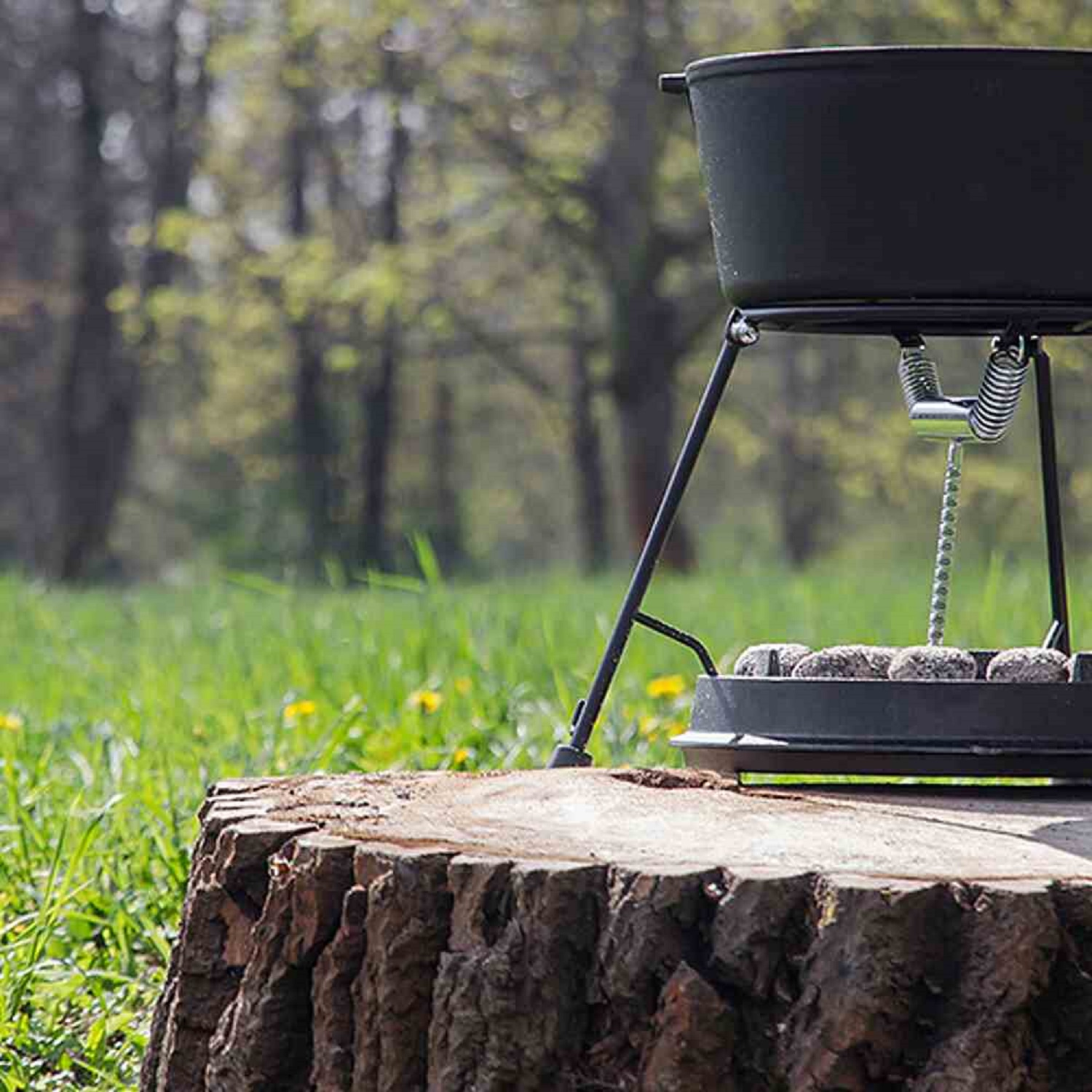 Ein schwarzer Dutch Oven auf einem Metallständer mit Holzkohlebriketts, auf einem Baumstumpf, mit verschwommenem grünen Feld und Wald im Hintergrund.