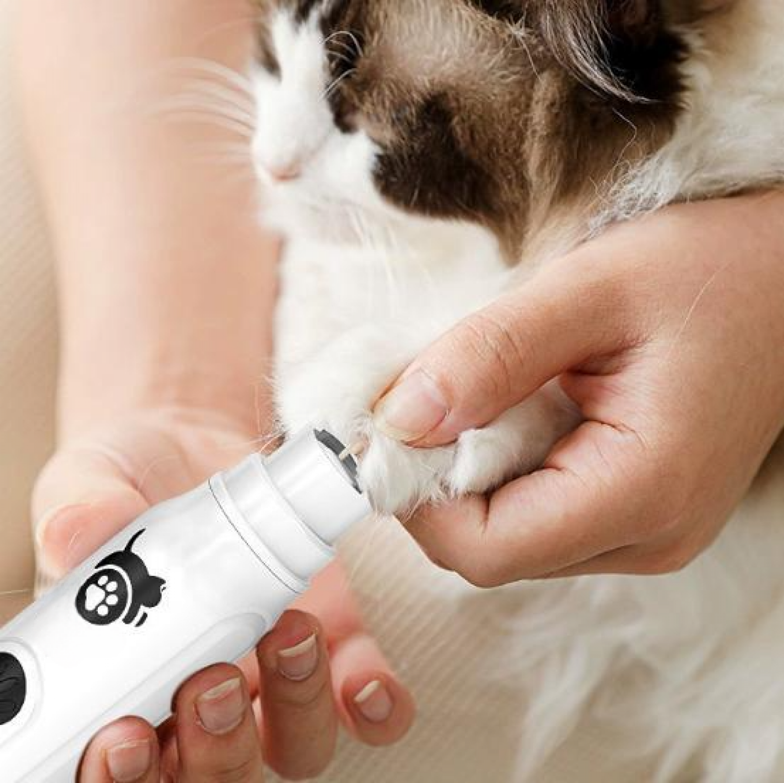 Eine Person schneidet die Krallen einer Katze mit einem elektrischen Nagelknipser. Die Katze ist weiß und braun. Die Hände der Person sind sichtbar.