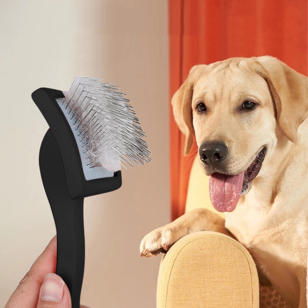 Eine Hand hält eine schwarze Haustierbürste vor einem gelben Labrador. Der Hund sitzt auf einem gelben Stuhl und streckt die Zunge heraus.