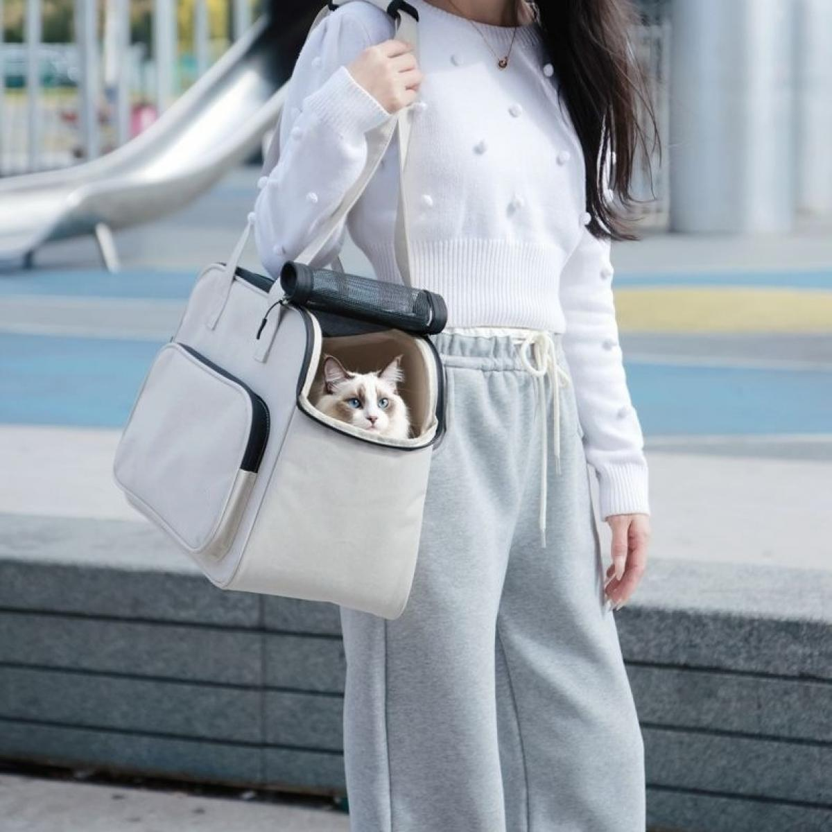 Eine Person trägt eine Katze in einer Tragetasche. Die Katze schaut heraus. Die Person trägt ein weißes Oberteil und eine graue Hose. Der Hintergrund ist unscharf.