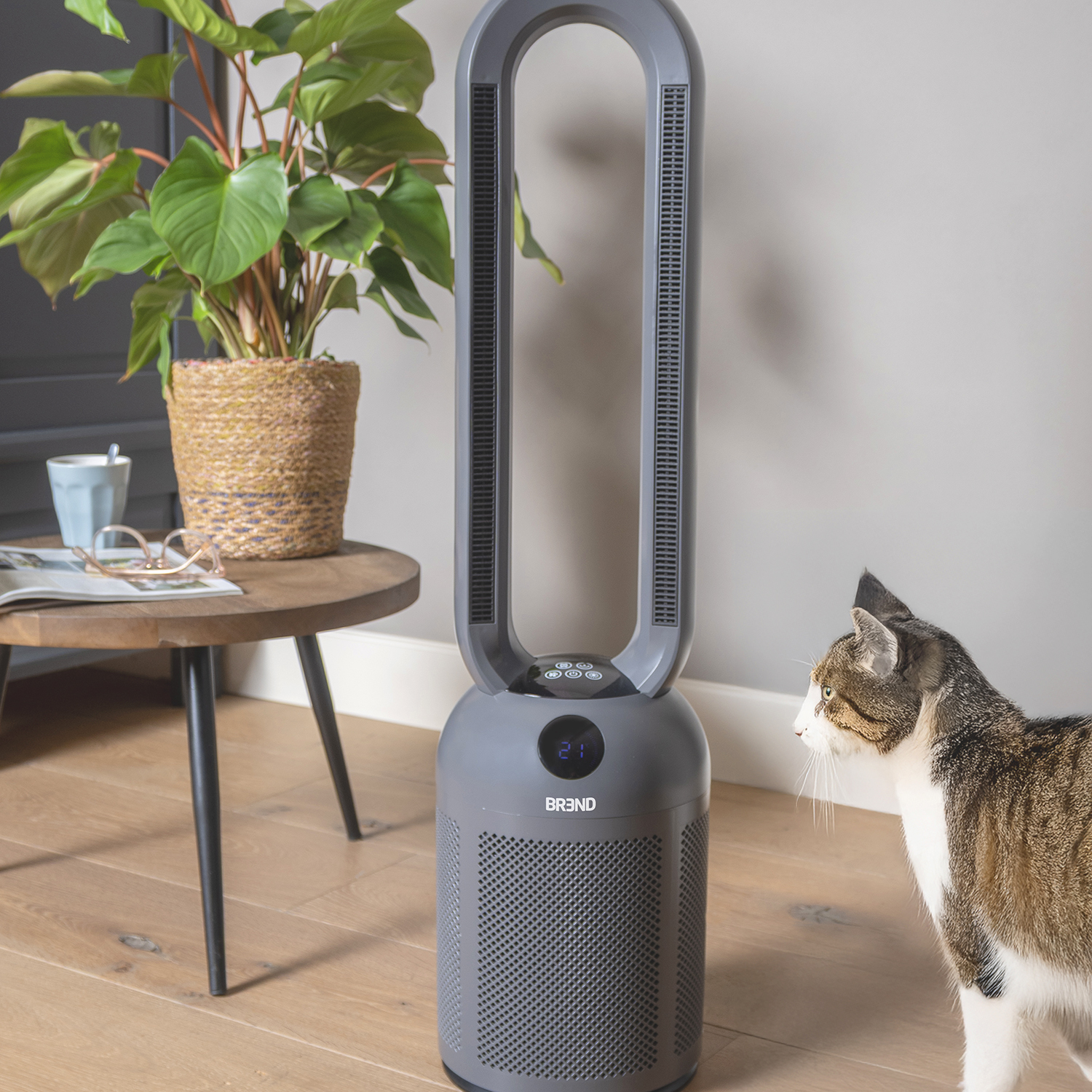 Een moderne grijze ventilator staat in de buurt van een kat op houten vloeren. Een plant in pot en een tafel met bril staan links.