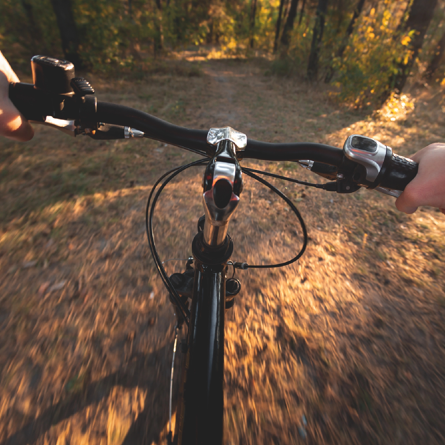 Rider's view from bike. Black handlebars, forest path ahead. Hands on grips. Trees in background, sunlight.